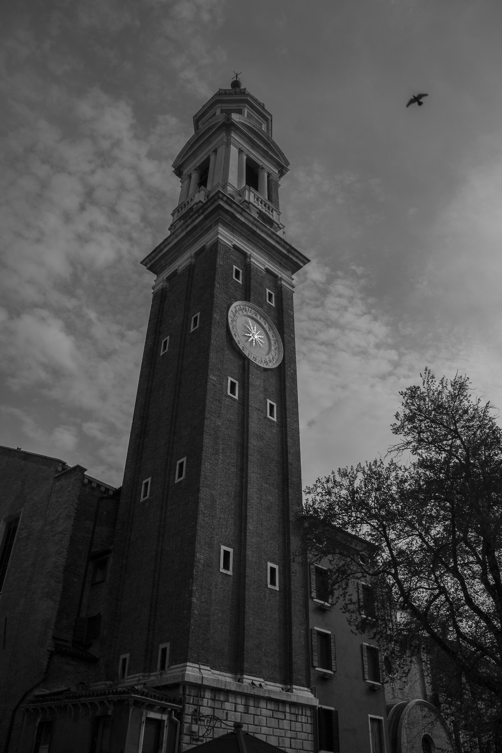 Il campanile e il colombo...