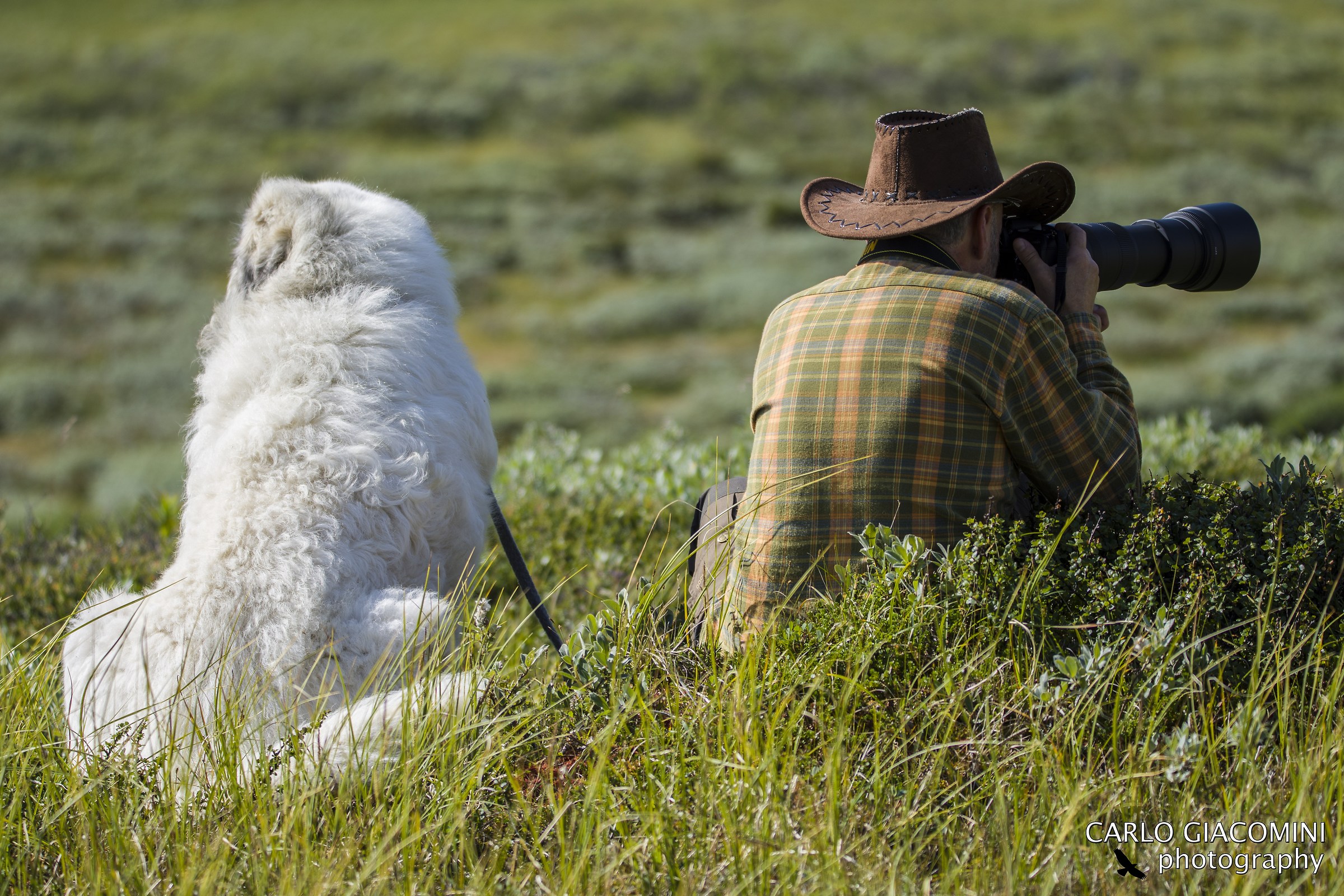 photographing with a polar bear...