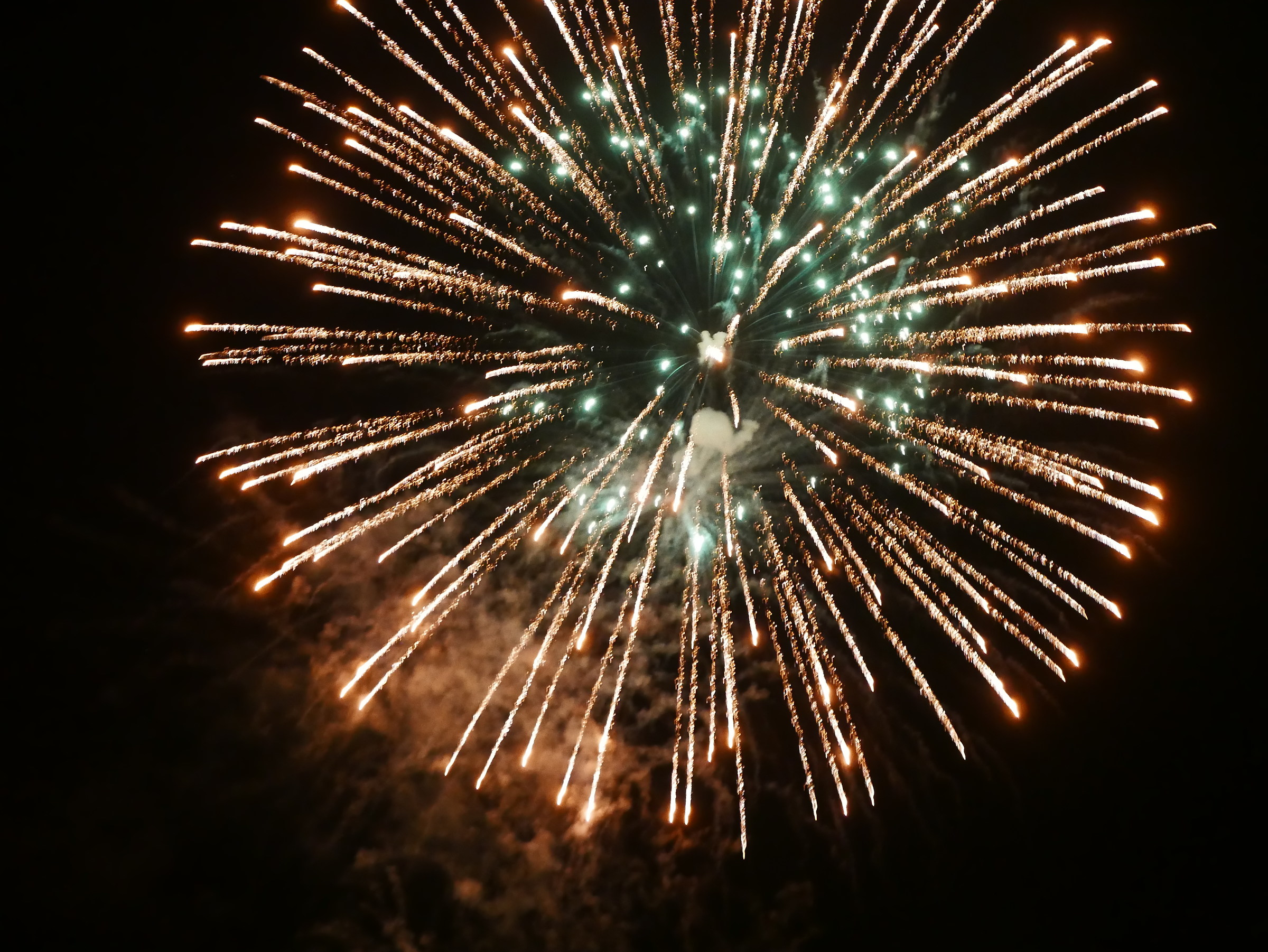 Leica D-Lux type 109 fireworks -...