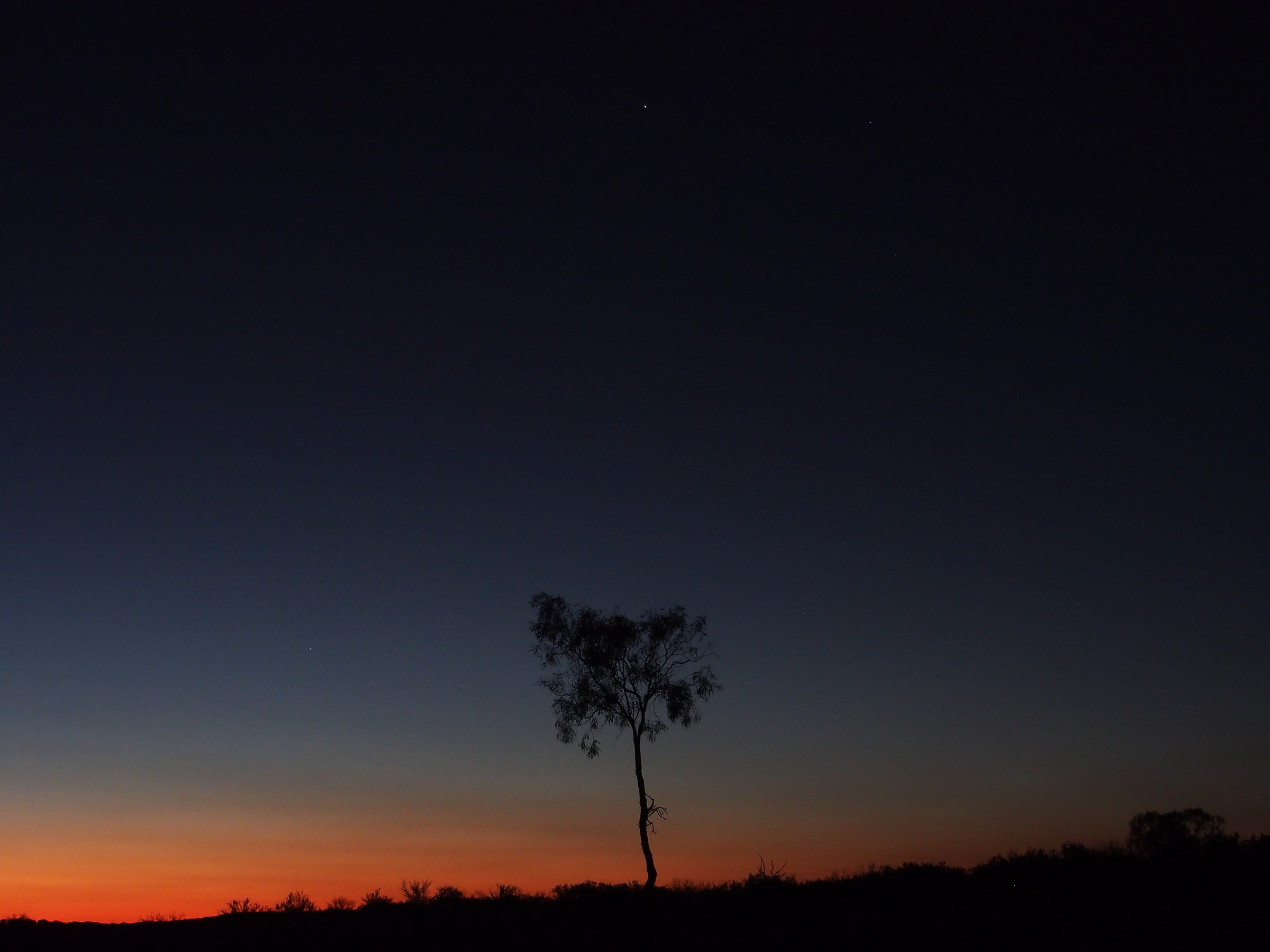 Australia. Desert. Night vision...