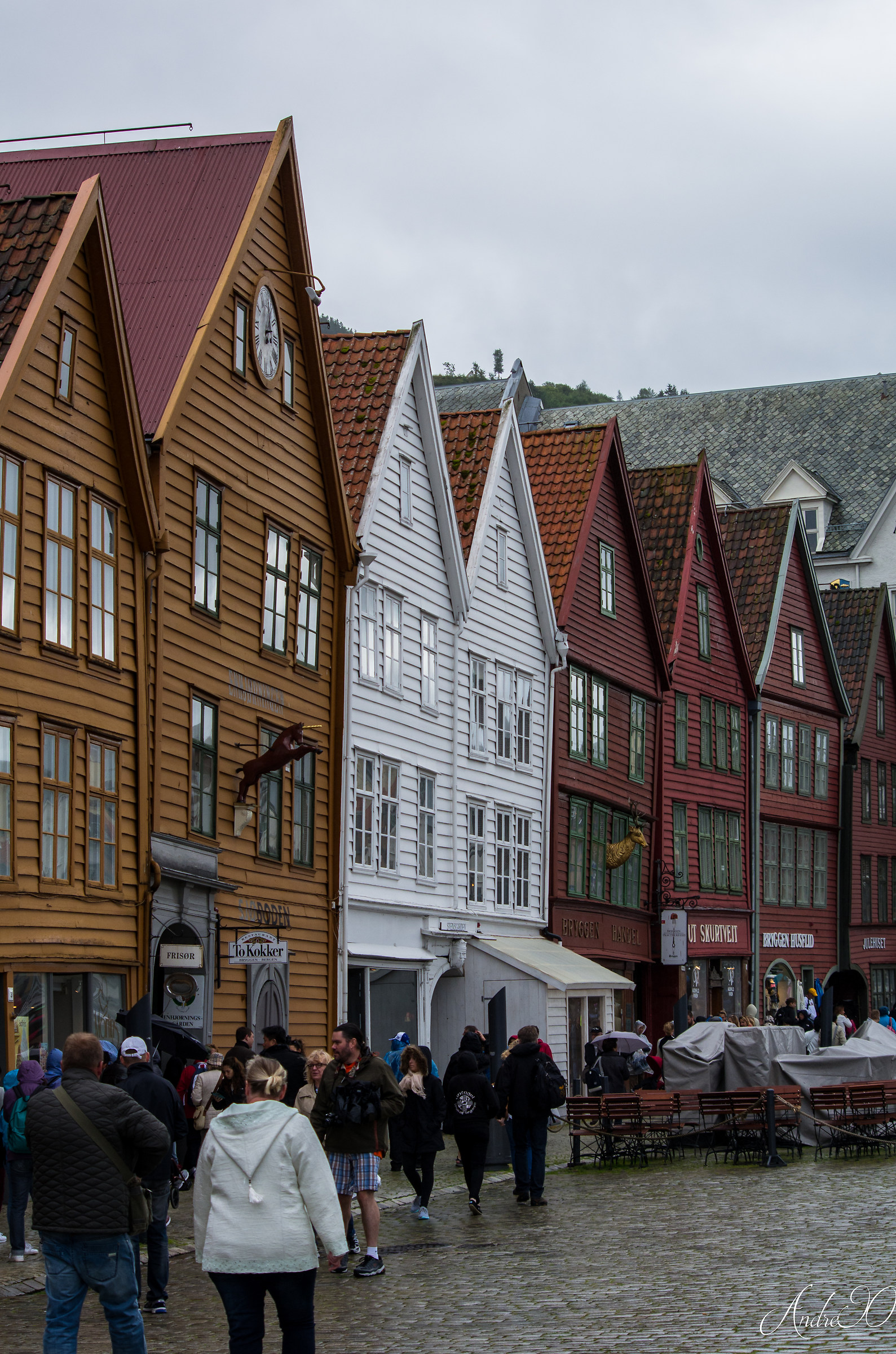 Welcome to Bergen...