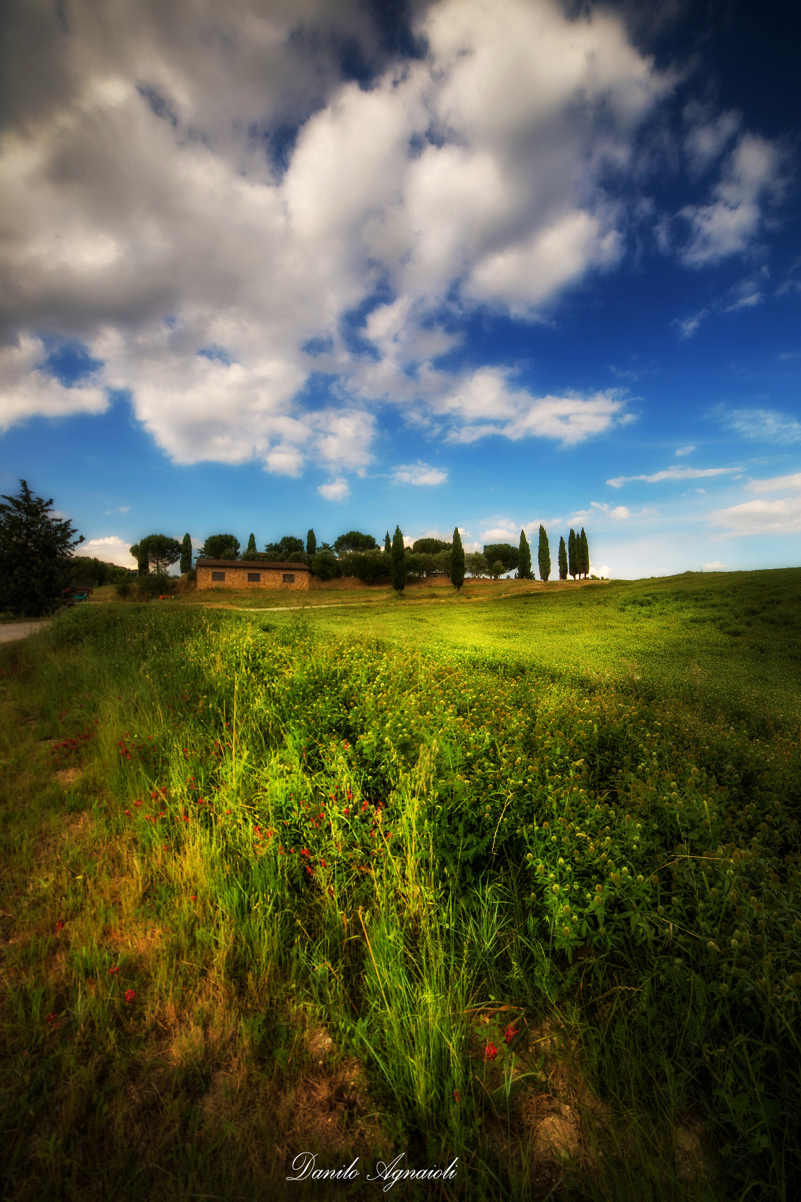 The ups and downs of the Val D'Orcia...