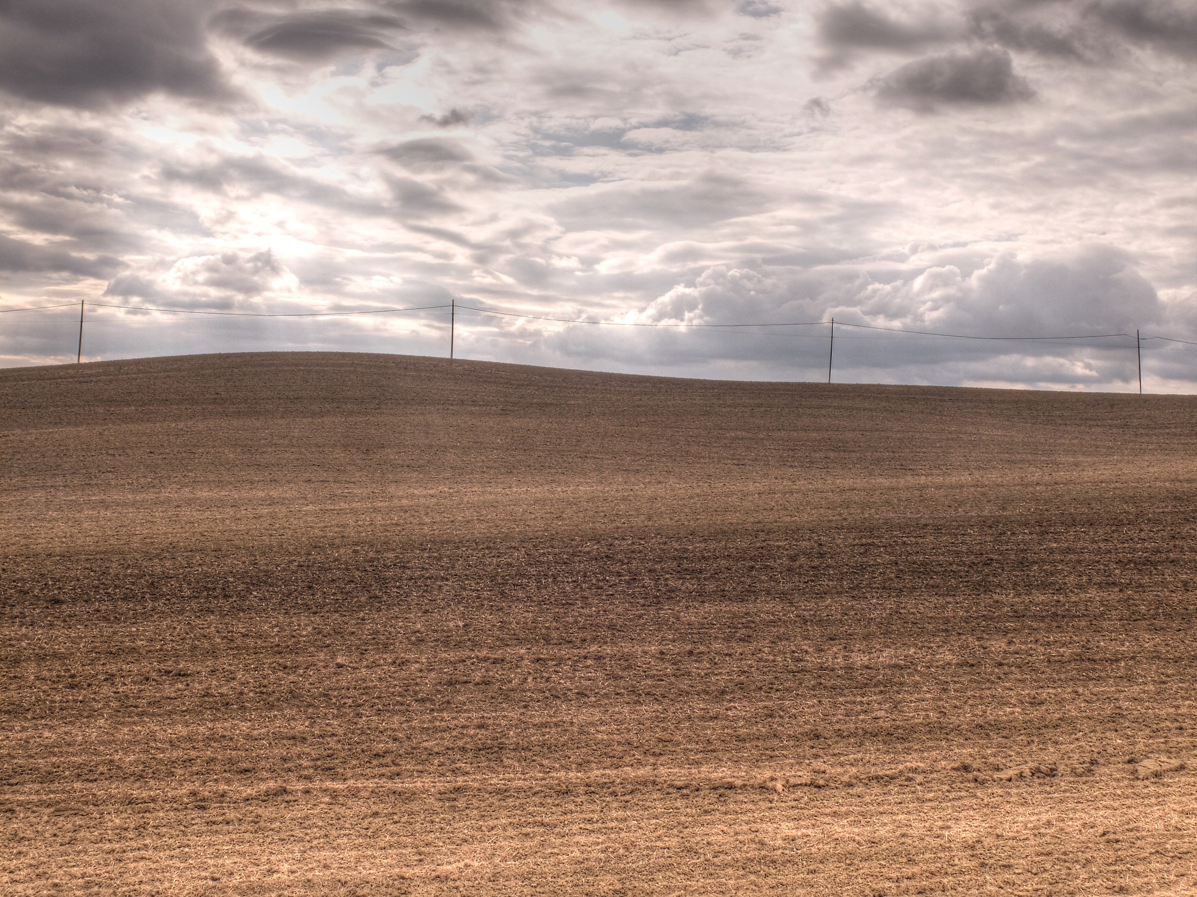 Terre Senesi...