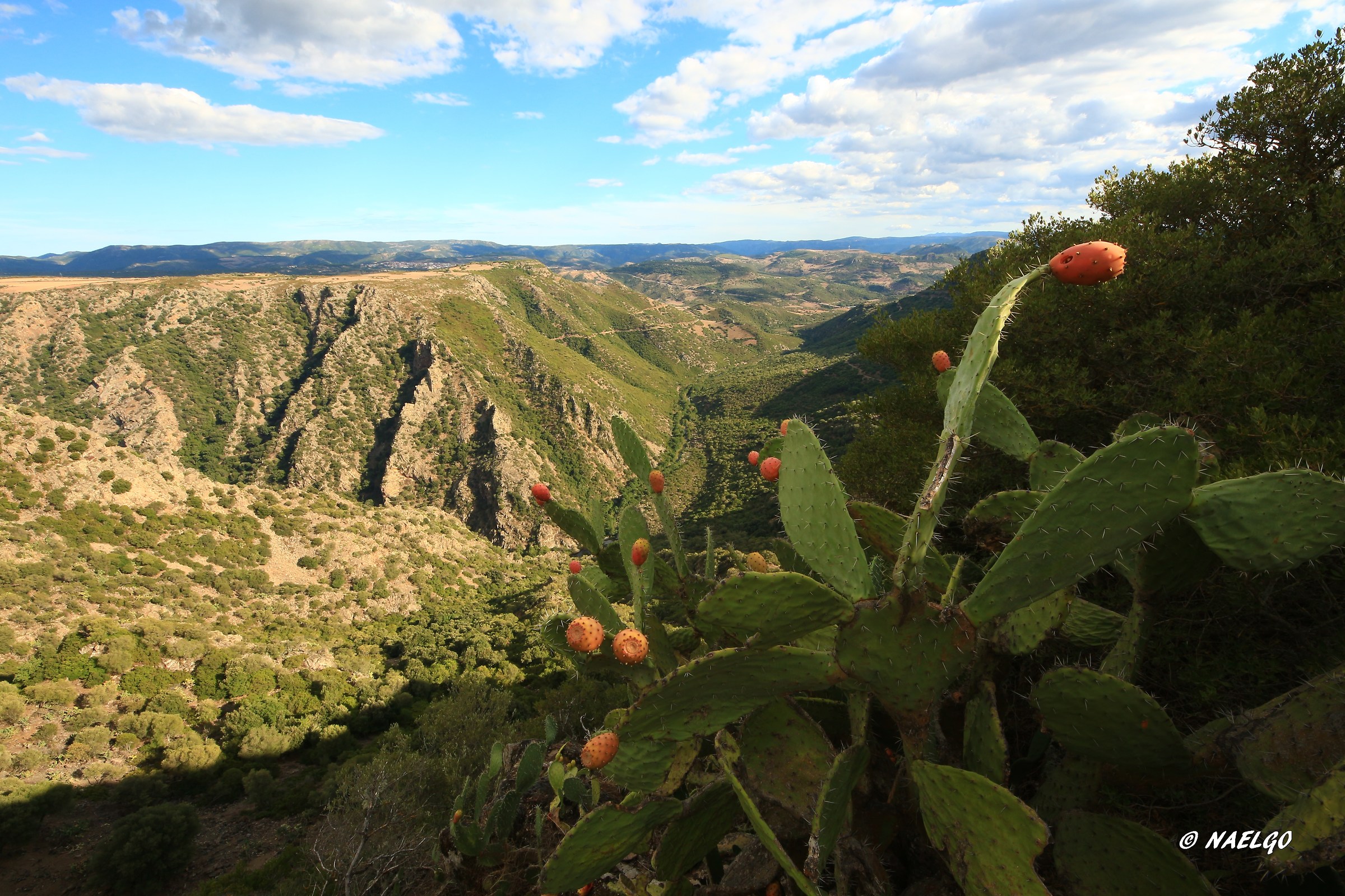 Panorama Sardo...