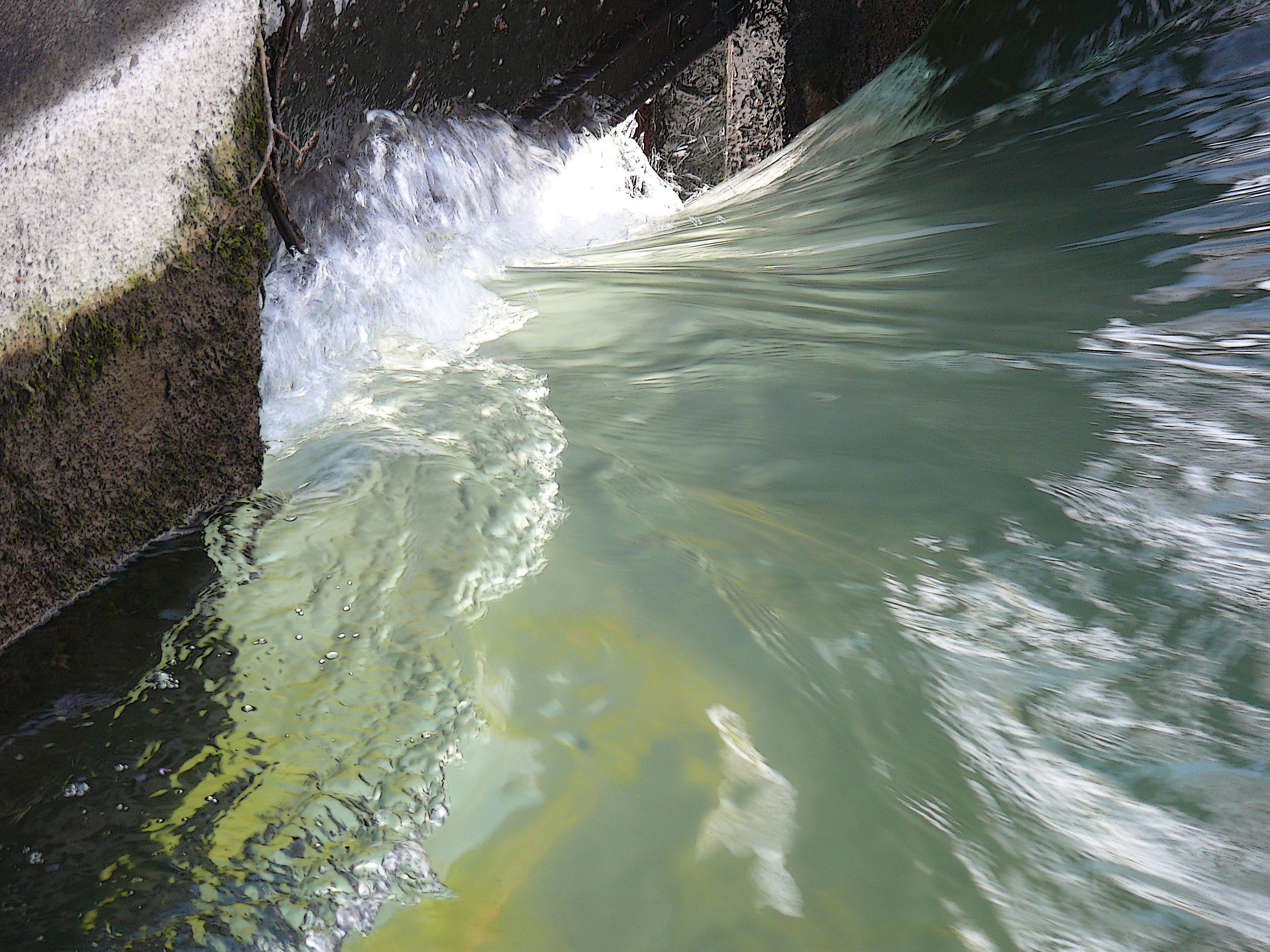 Le Forme dell'Acqua 4...