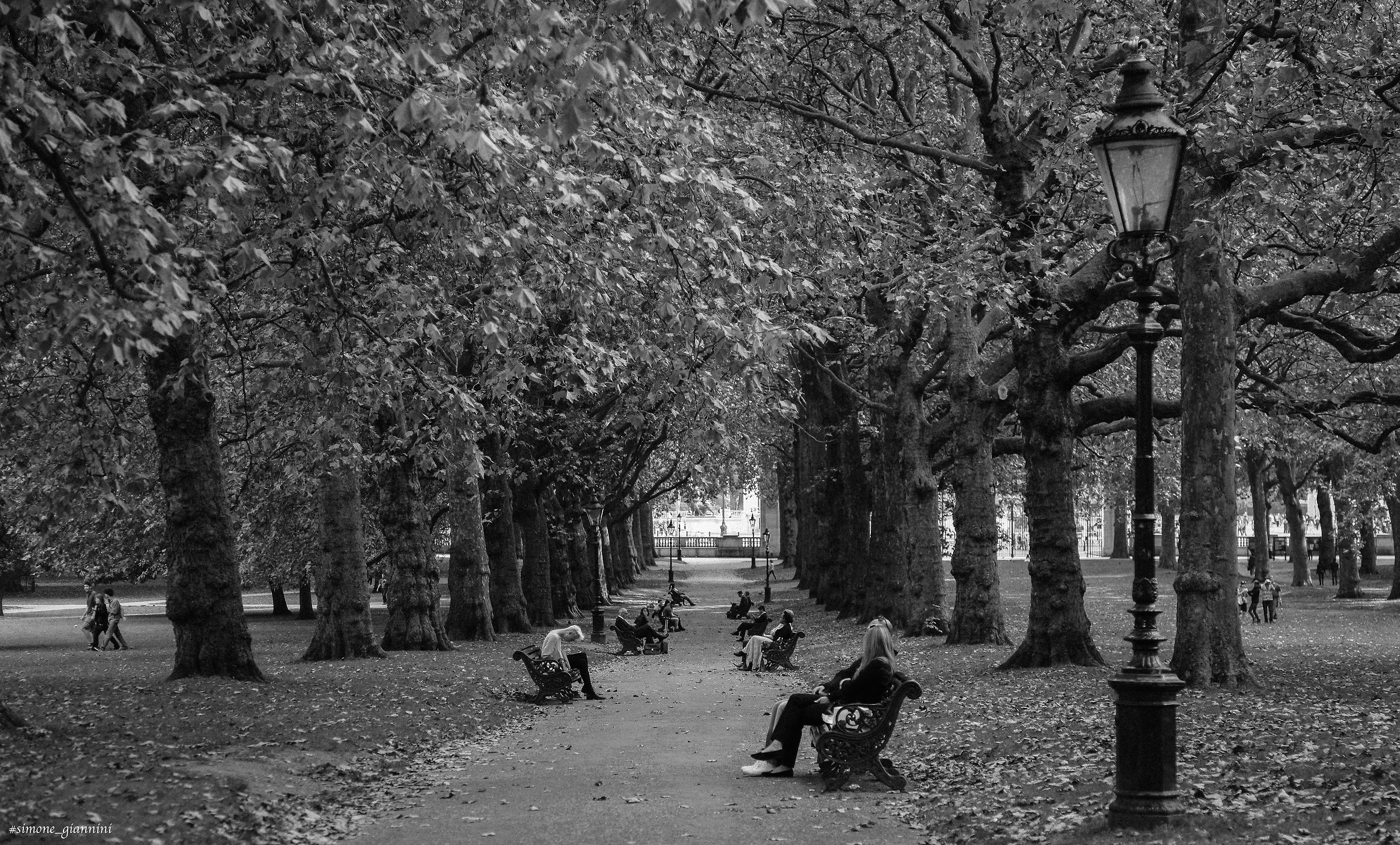 Autumn in St James Park...