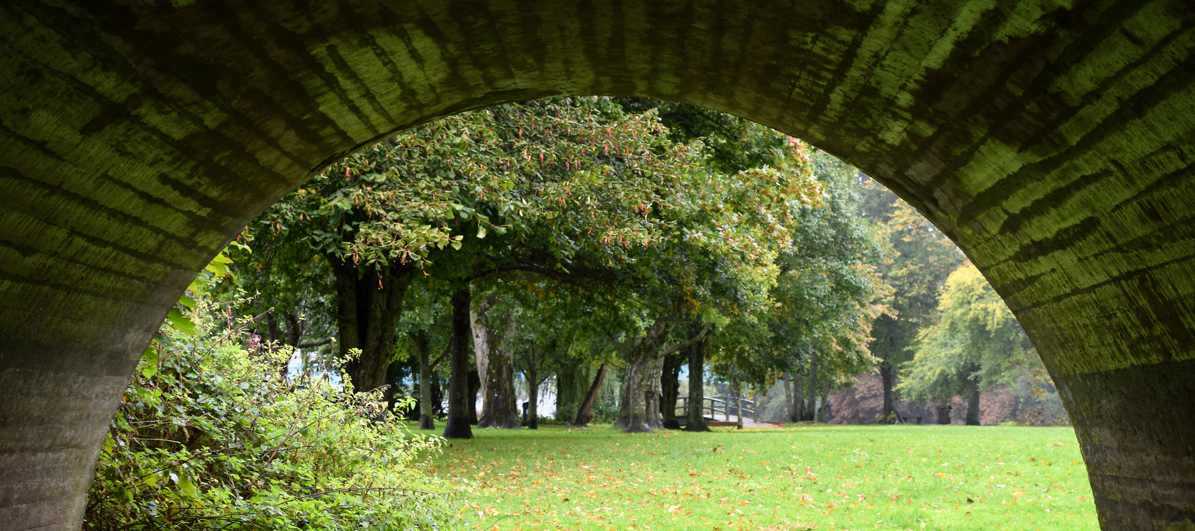 Sheltering Beneath the Arches...