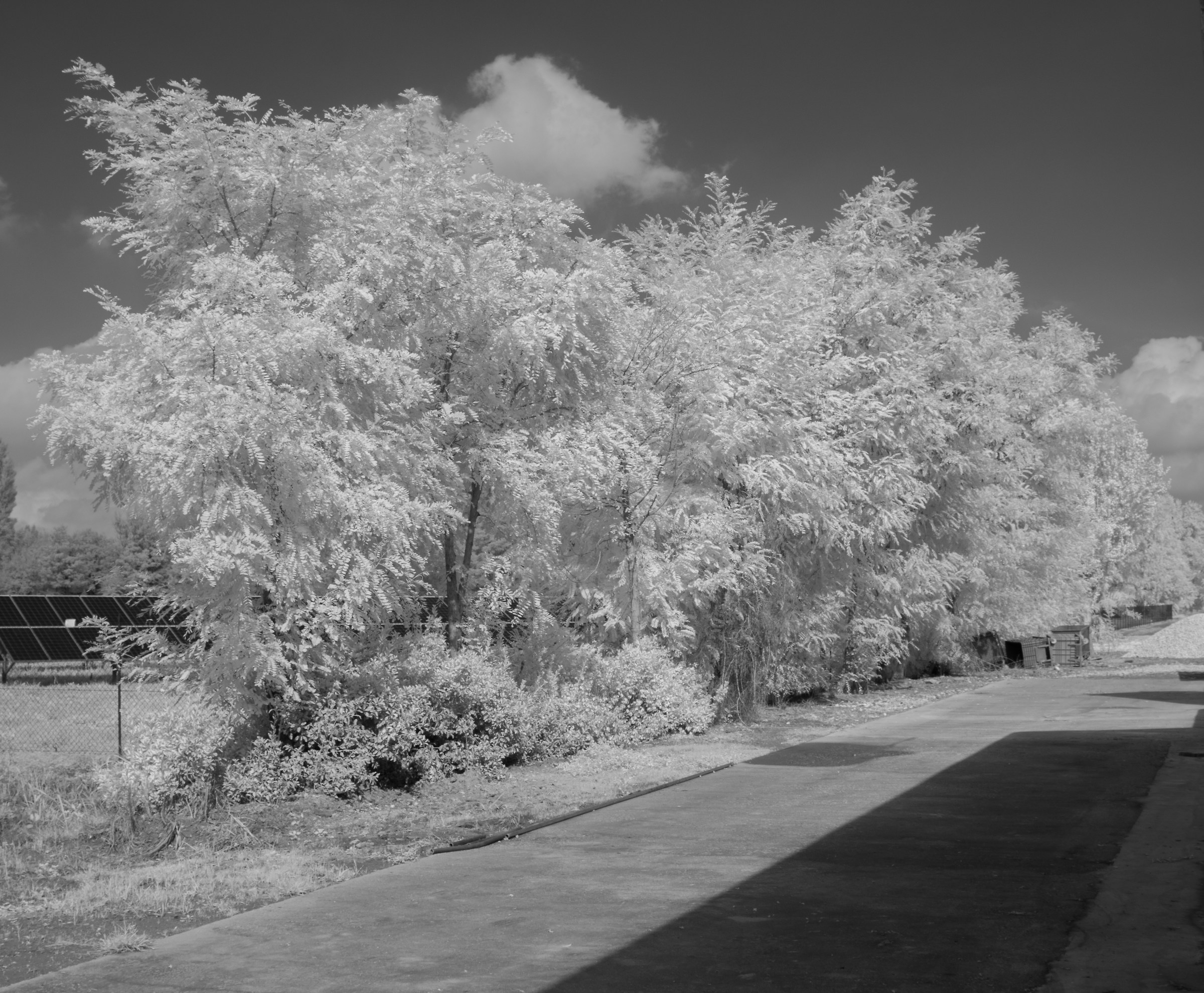 Photo proof infrared...