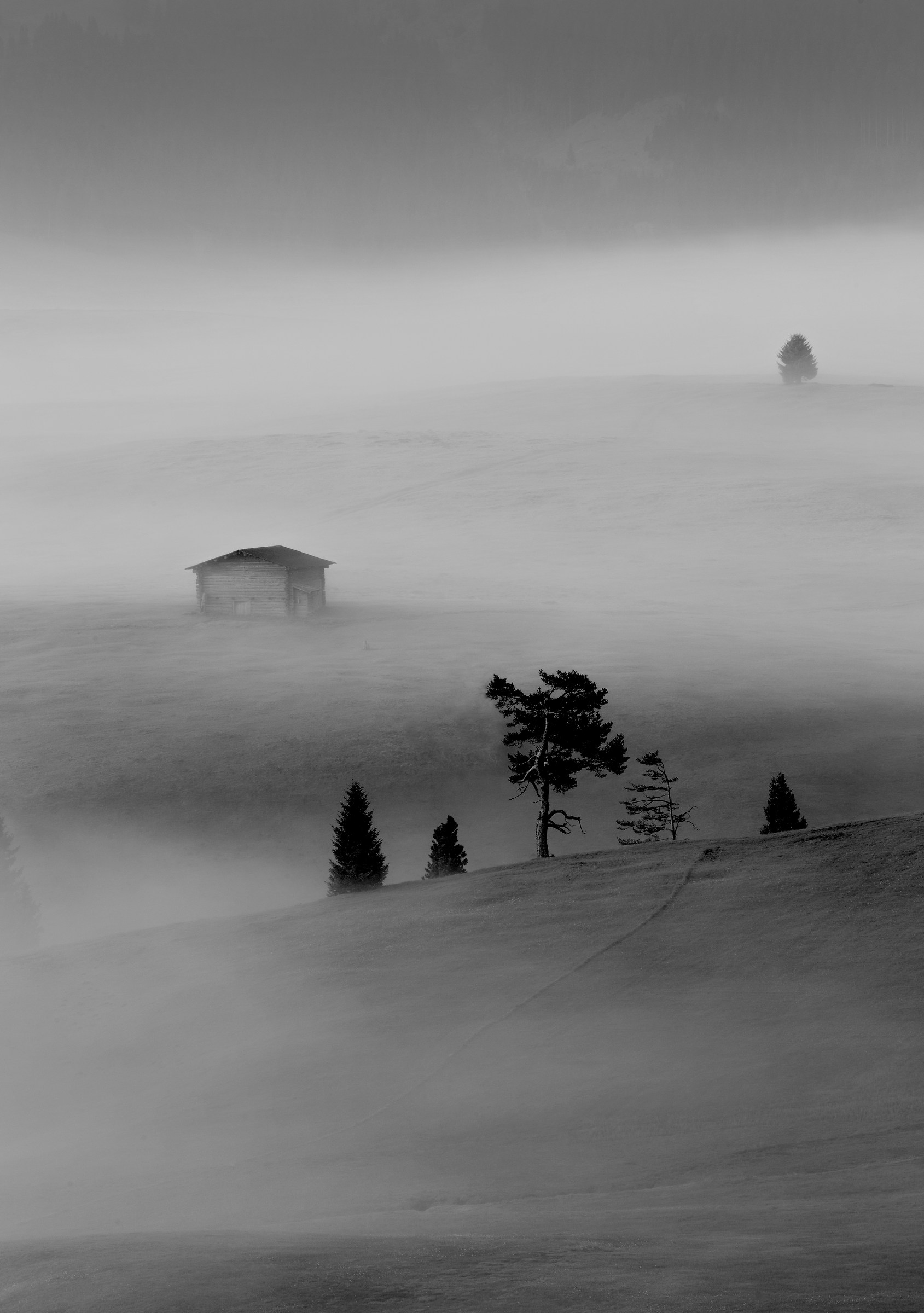 early morning mist - Alpe di Siusi...