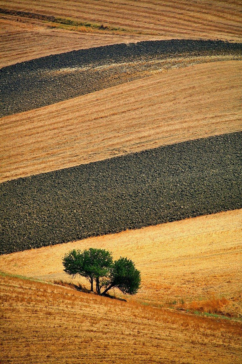 Tuscan landscapes...