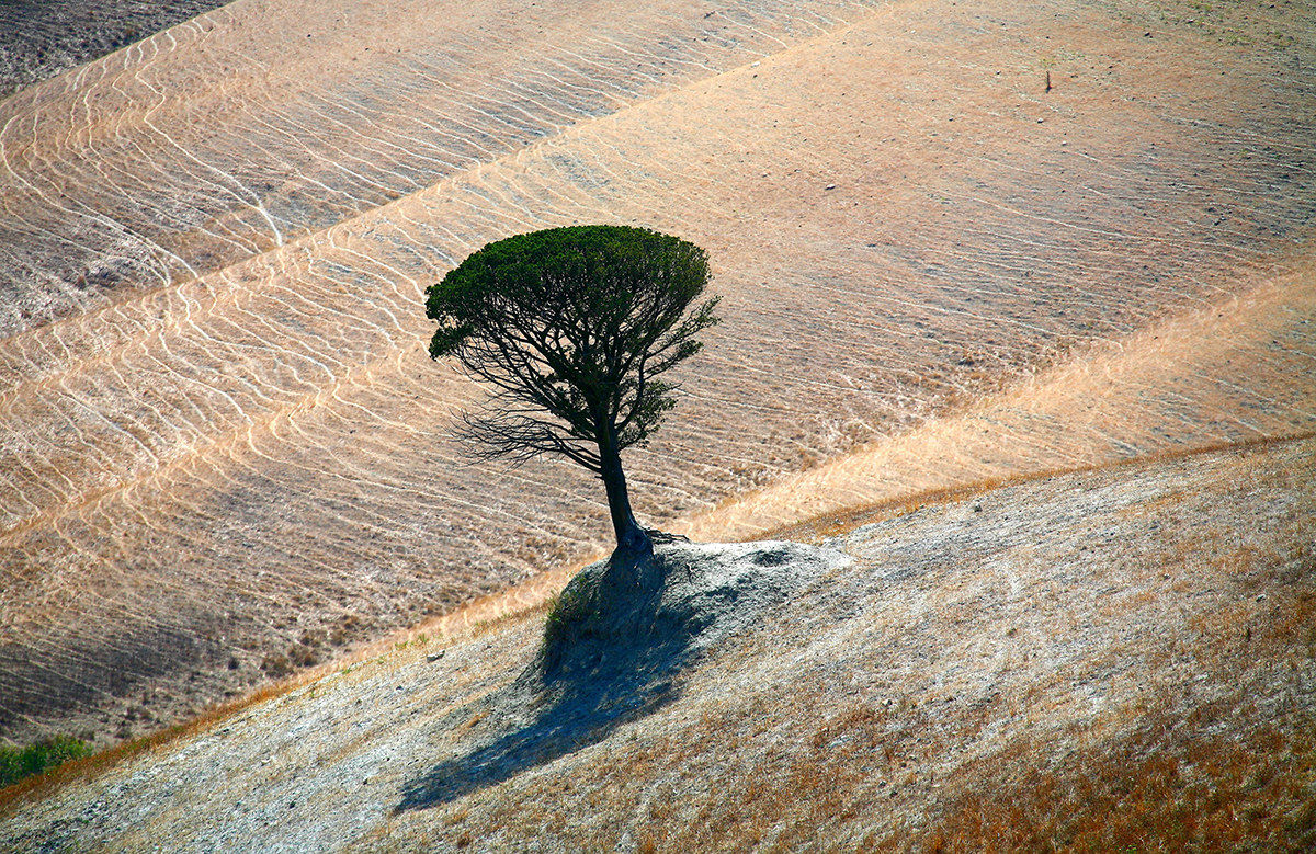 Colline toscane 3...