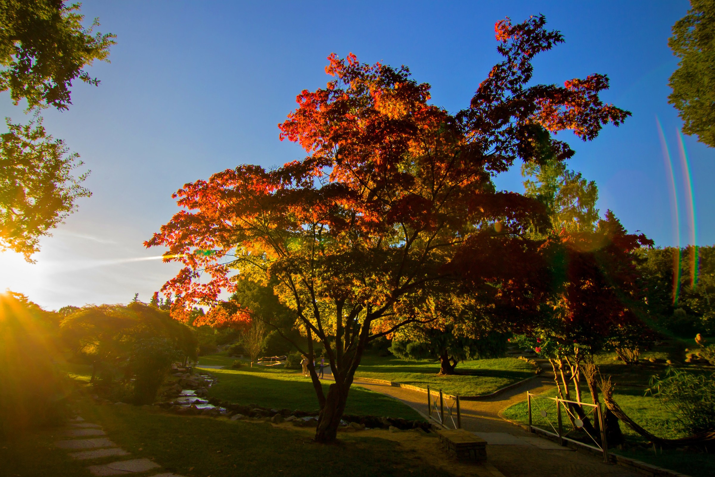 Autumn...