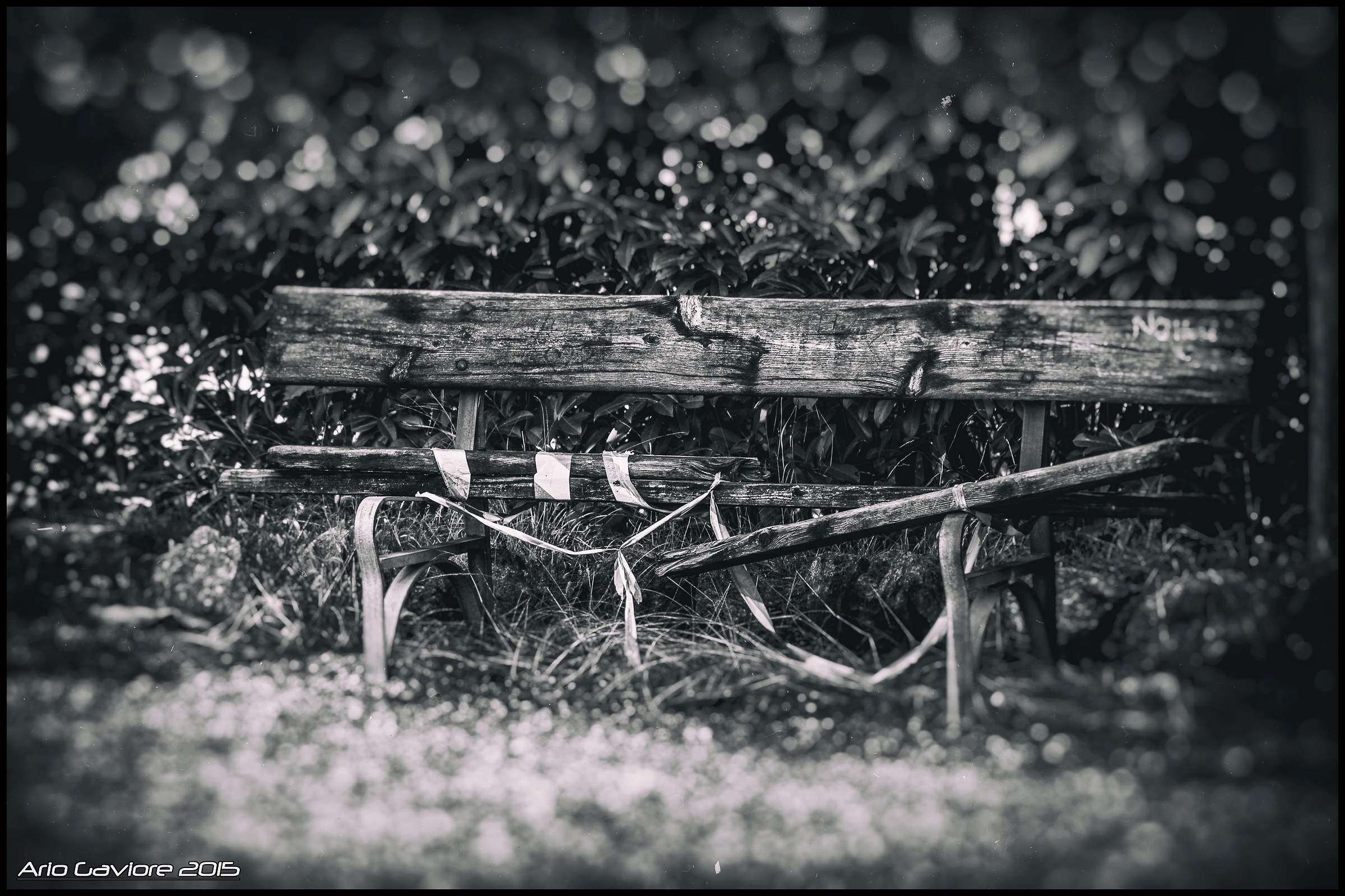 Ruined Bench...
