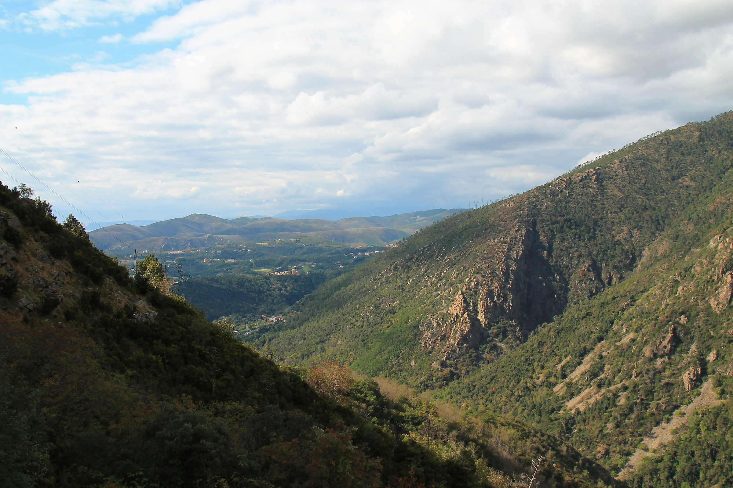 the view............