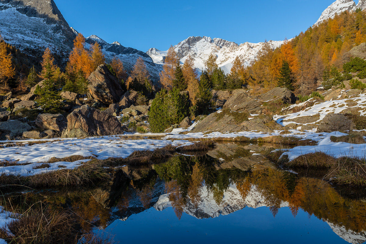 Autunno nella Piana di Preda Rossa...