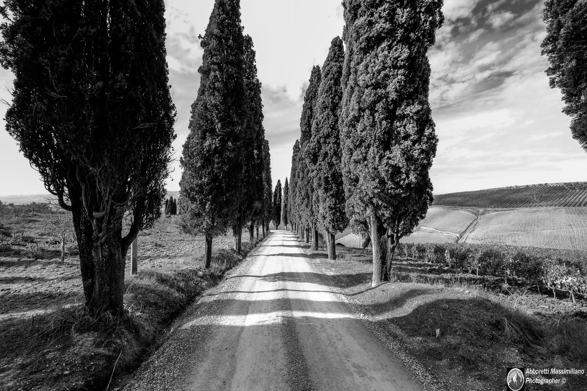 Crete Senesi 3...
