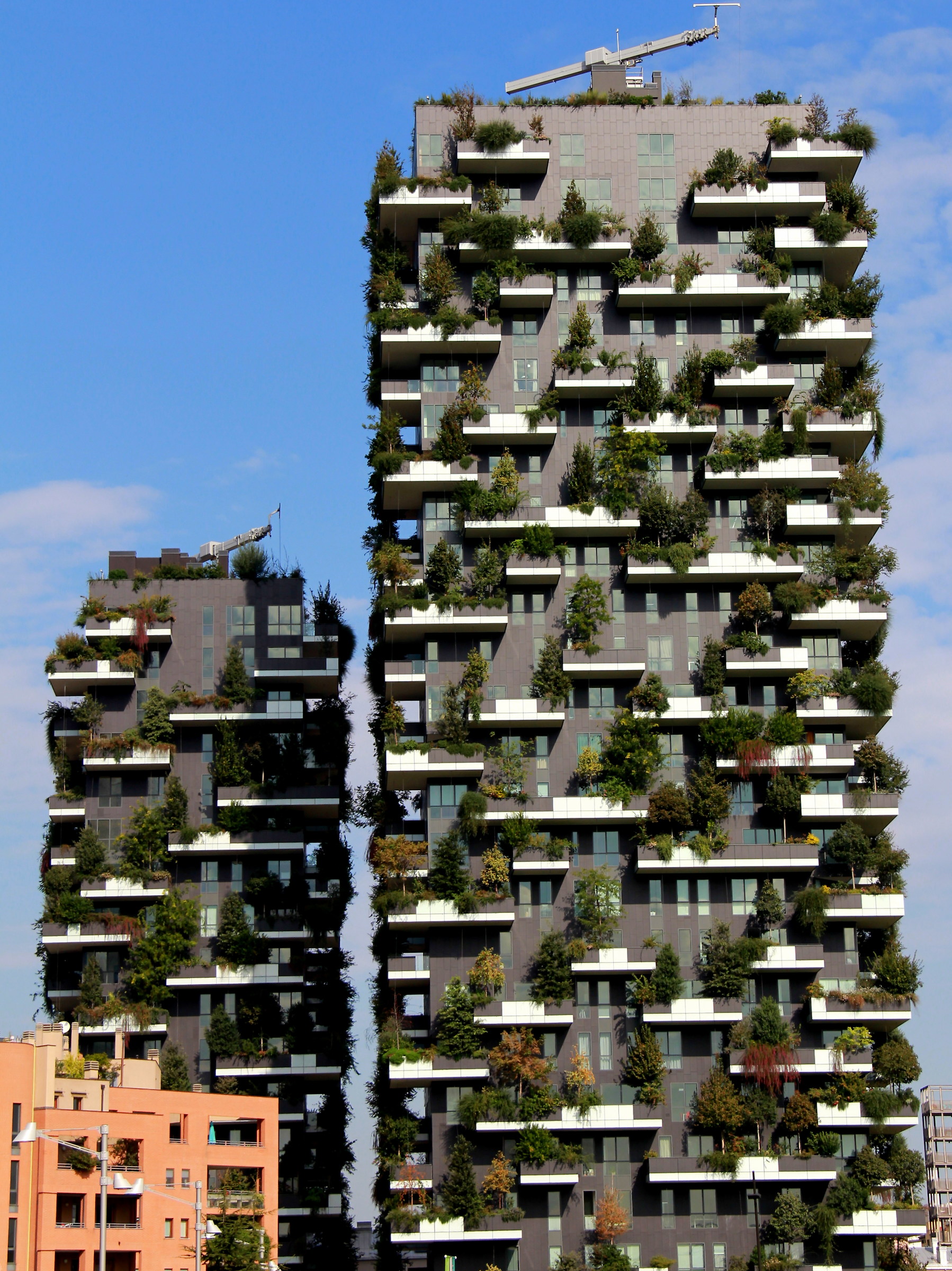 The vertical forest in the city...