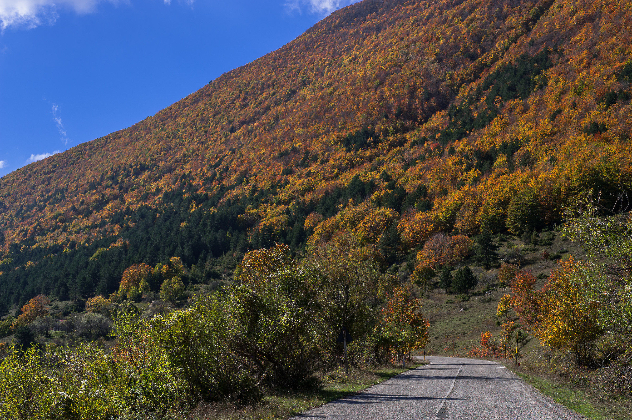 Abruzzo National Park-Fall 2015...