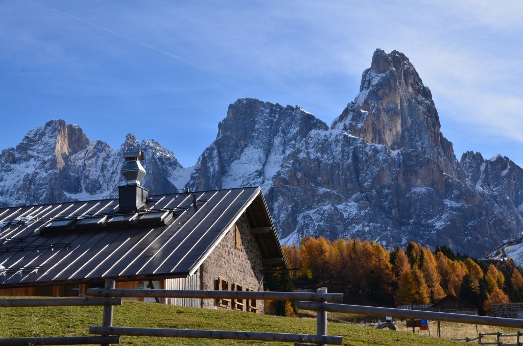 Malga Rolle con vista Pale...