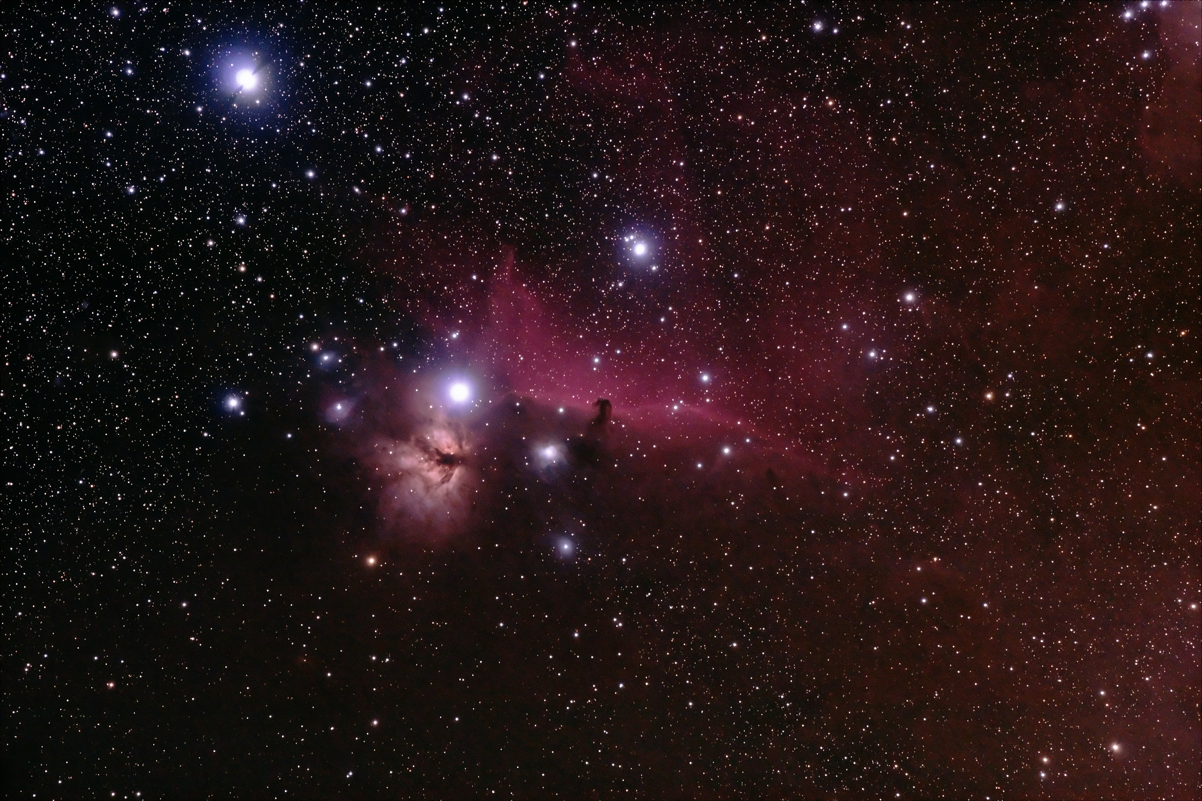 The region Alnitak - Flame Nebula and Head of Cava...