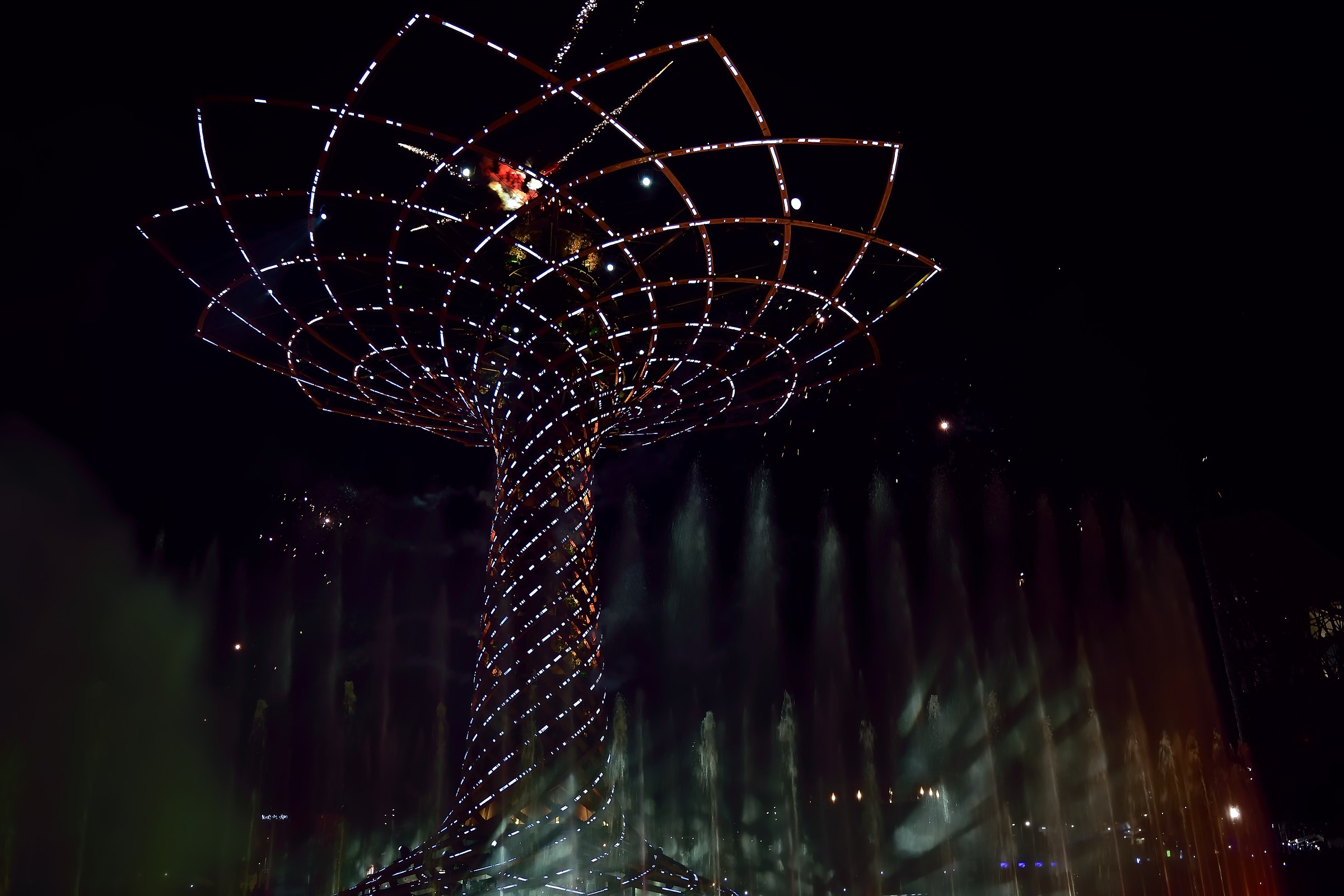 Albero della Vita...