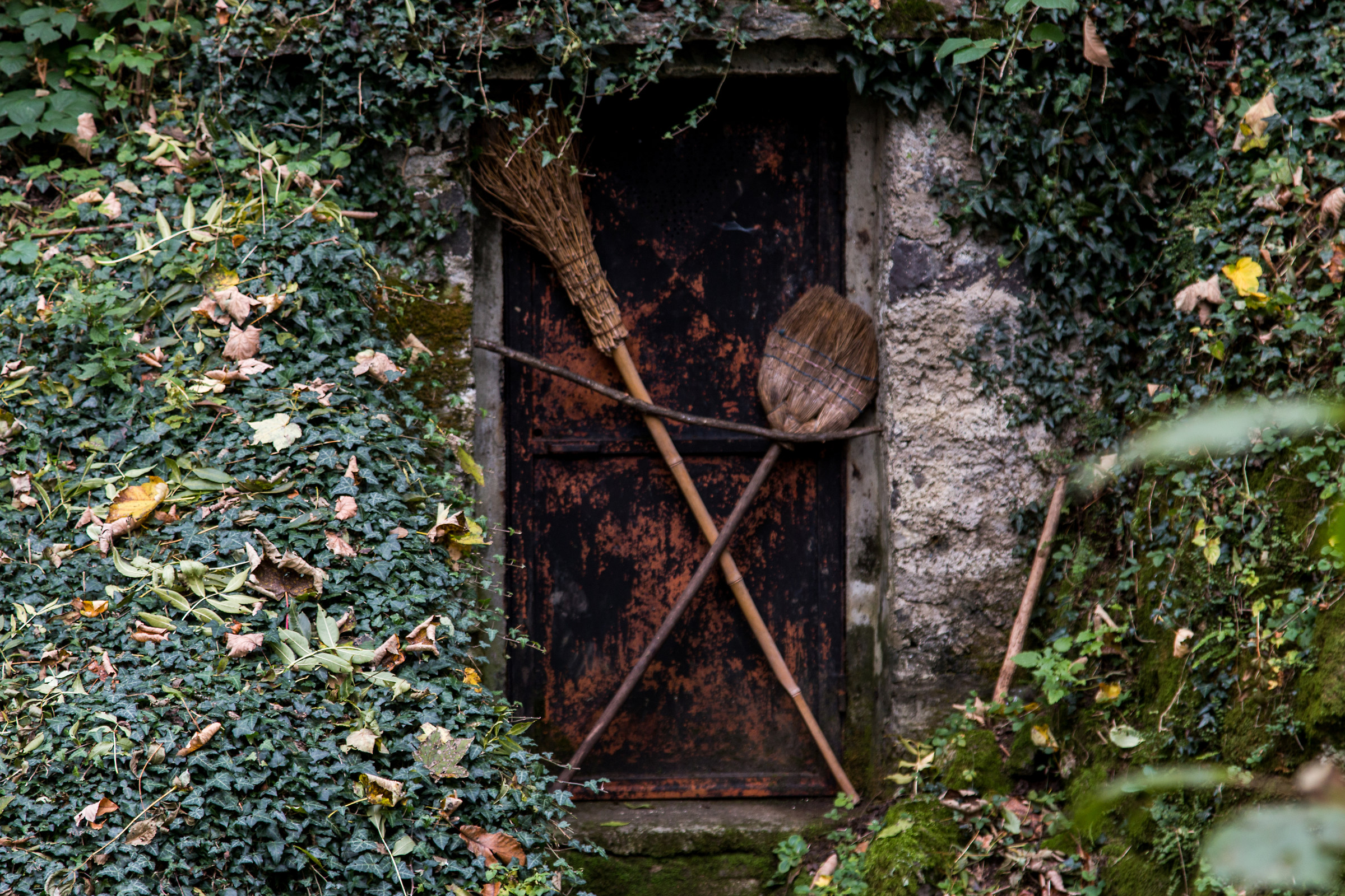 the door of the witch...