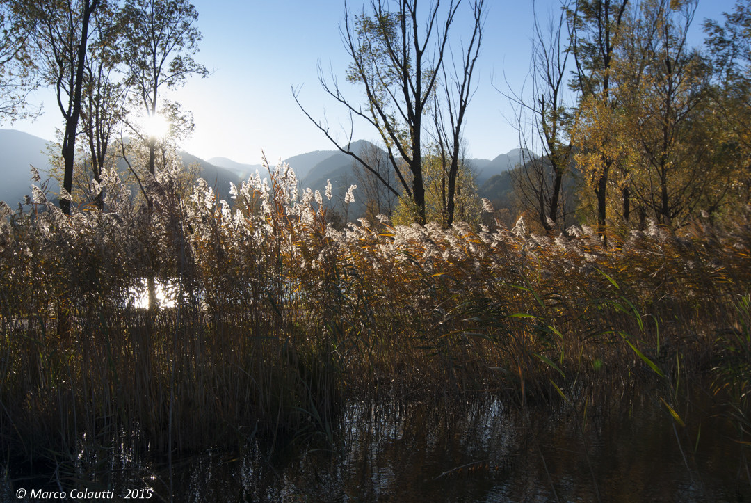 Lago di Cavazzo - Canneto...
