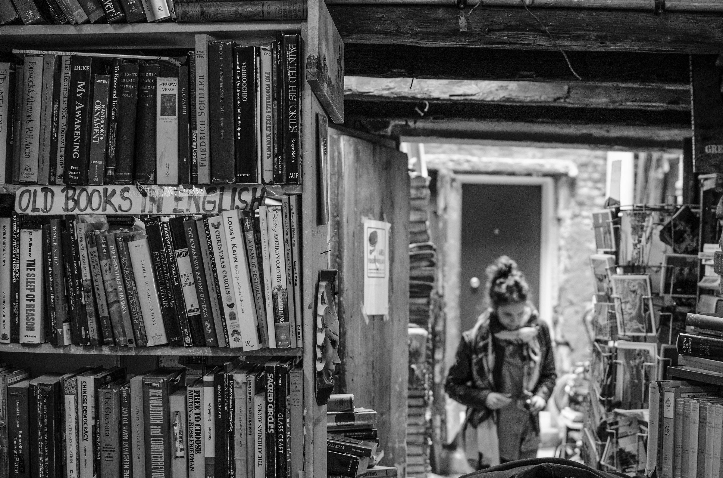 libreria veneziana...