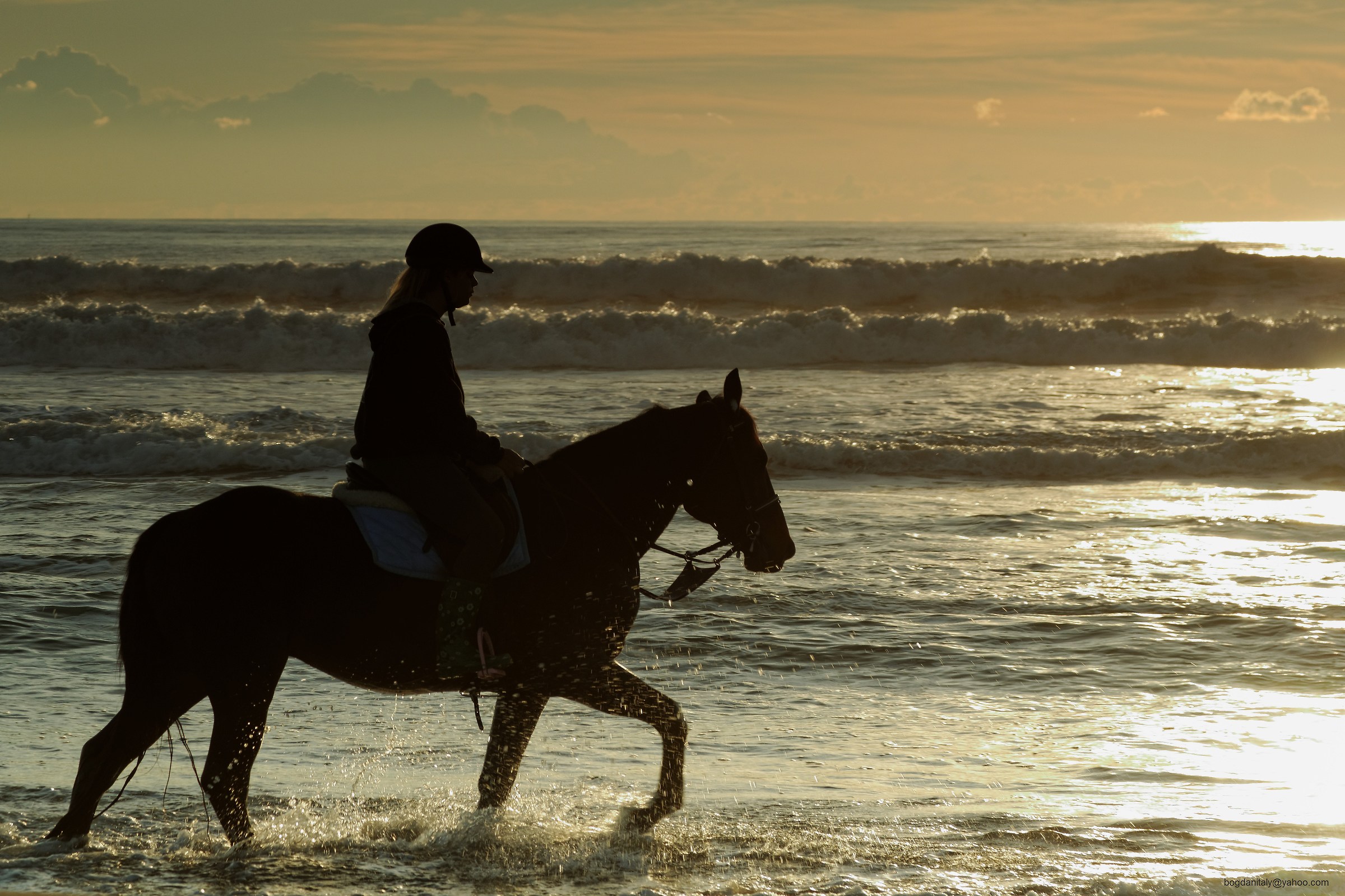 Young woman and horse on sea beache...