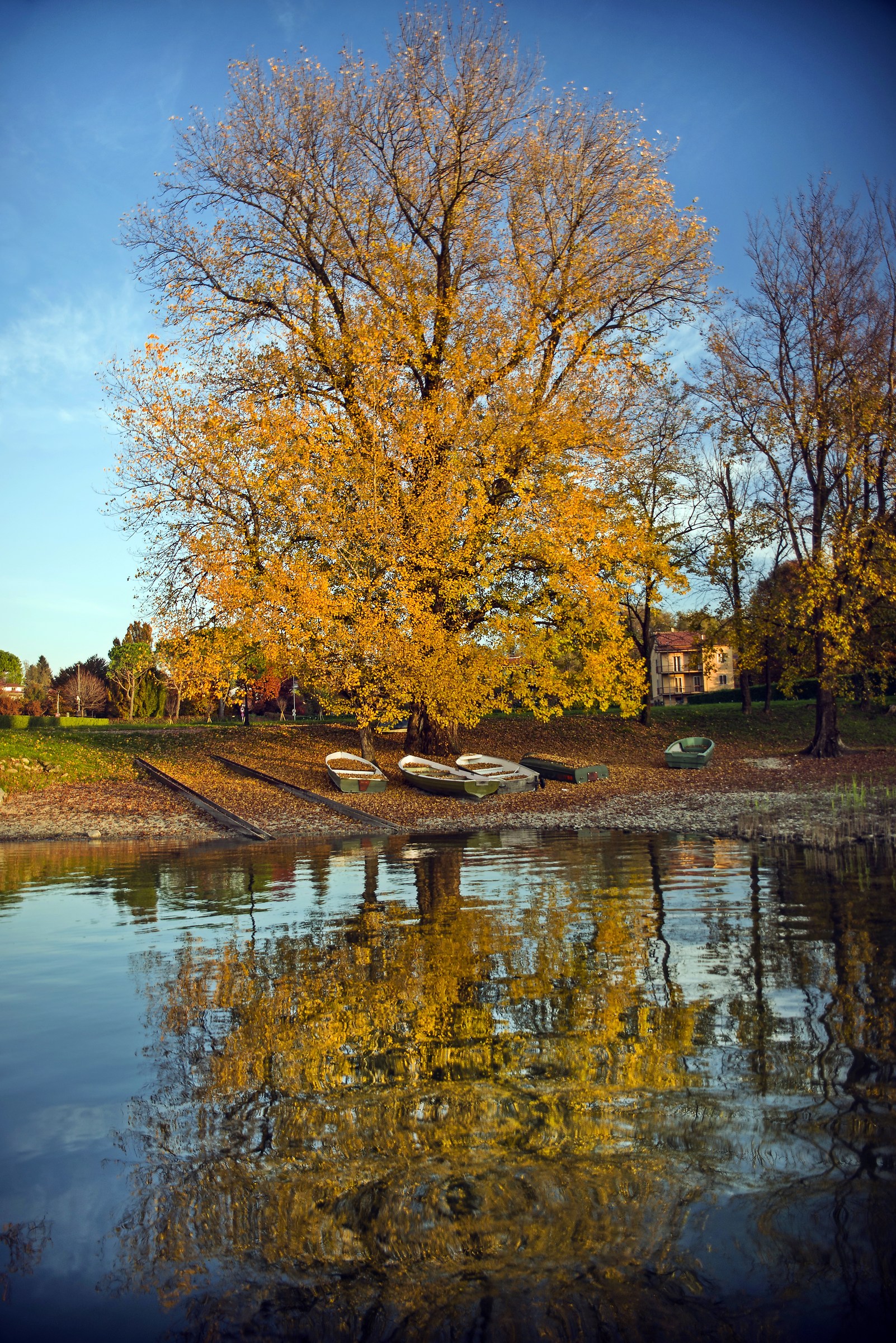 Riflesso d'autunno...