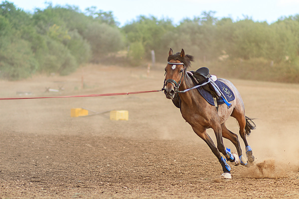 striding...