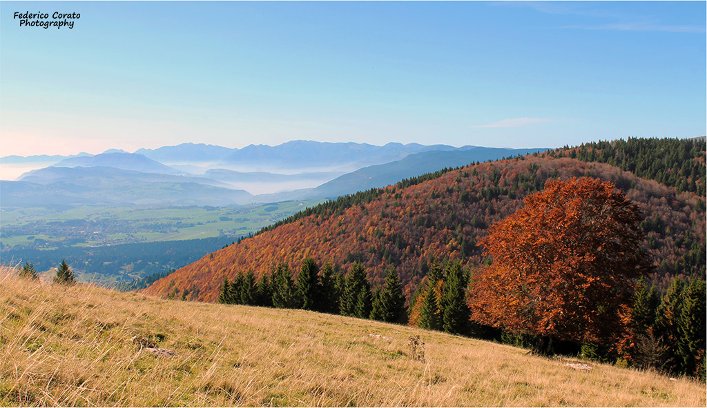 la piana...