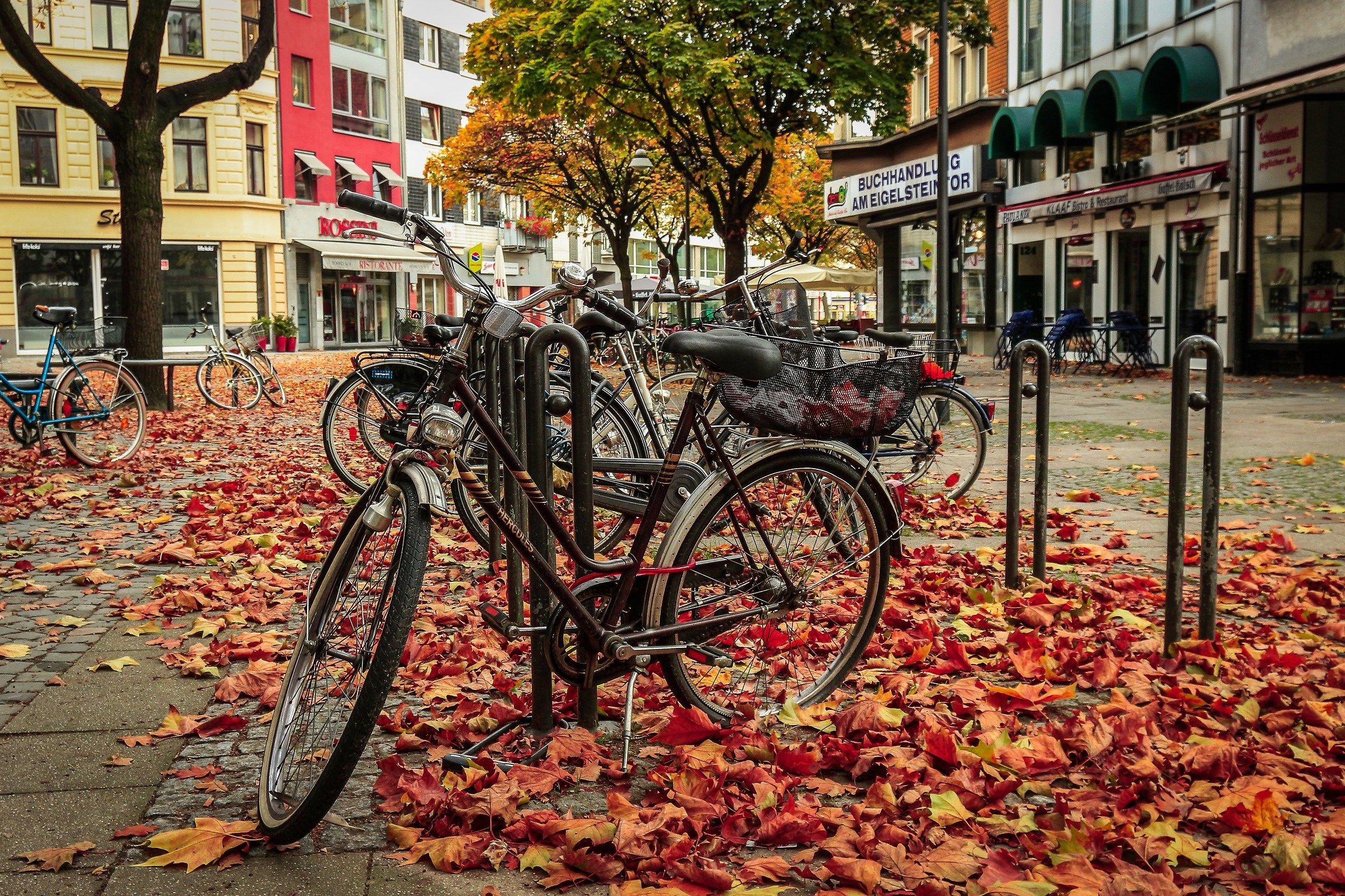 Autumn in Cologne...
