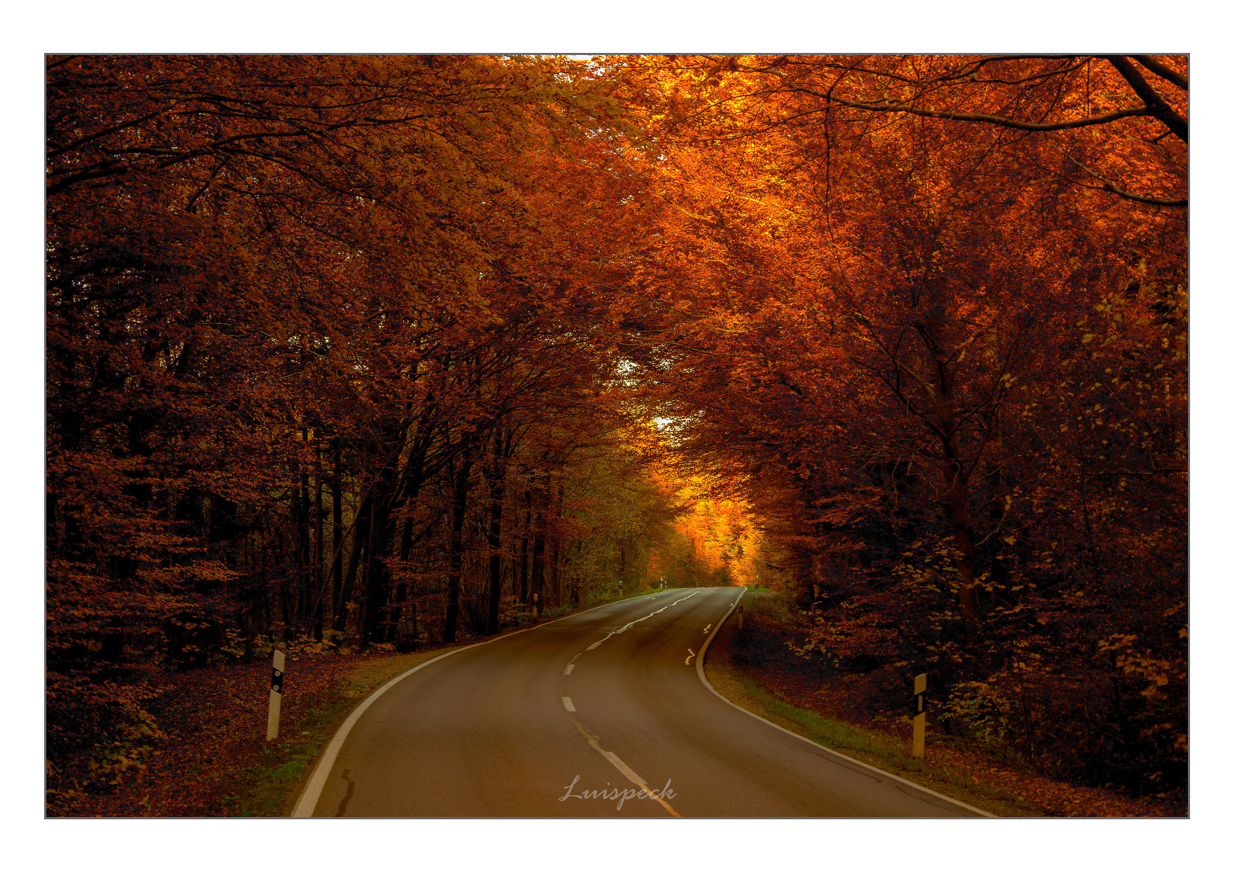 Roads Autumn...