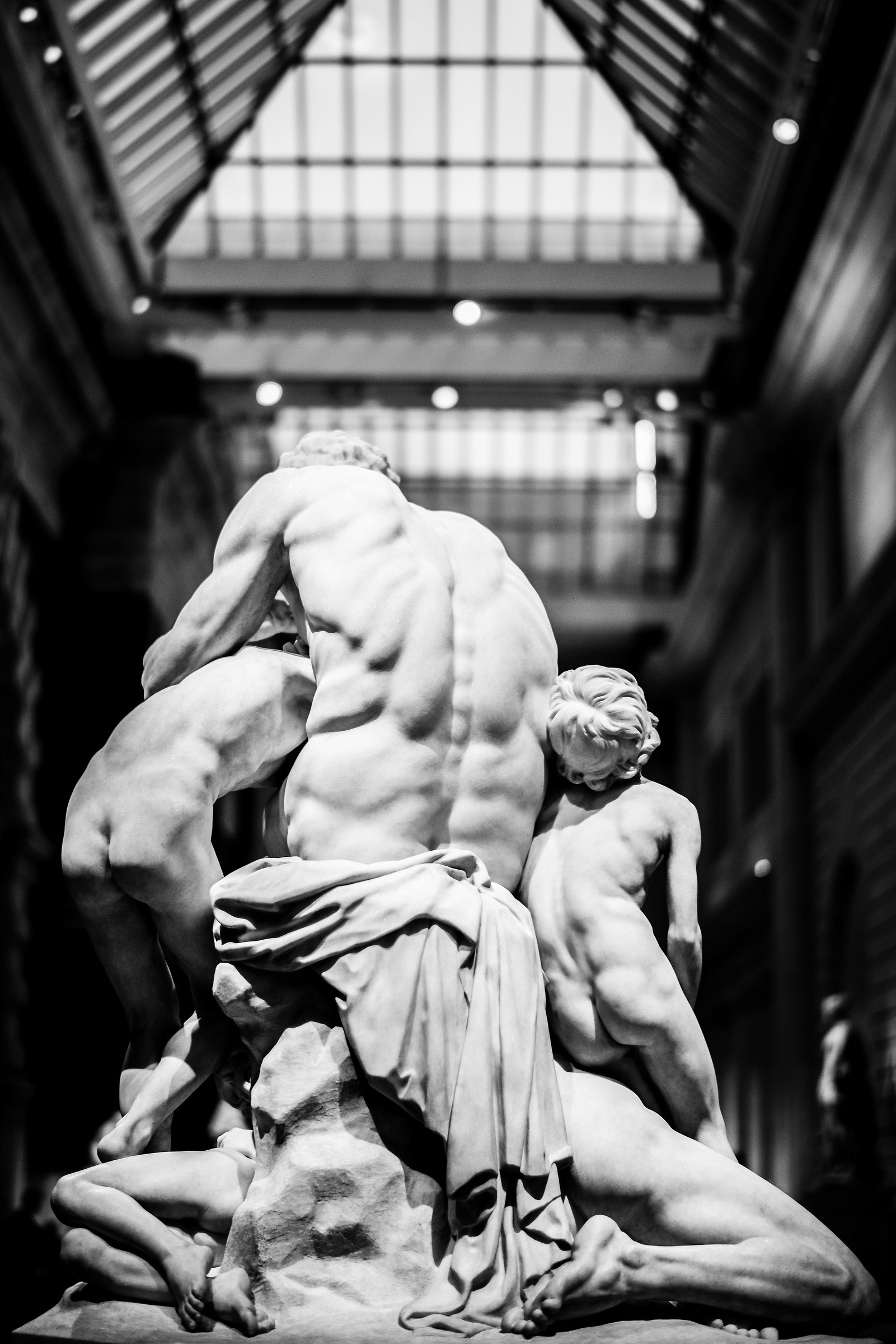 Laocoon and His Sons Back...