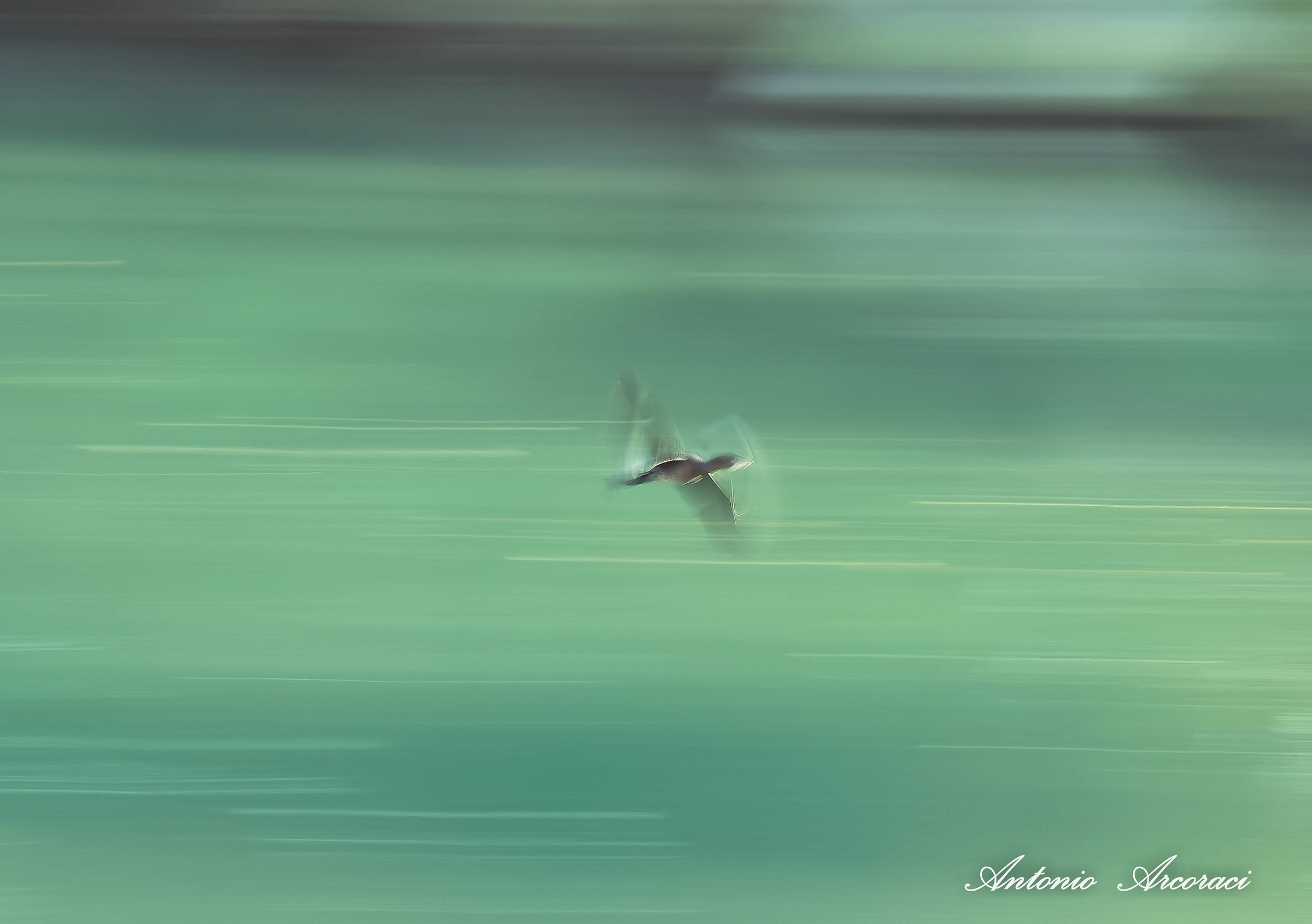 Movement...
