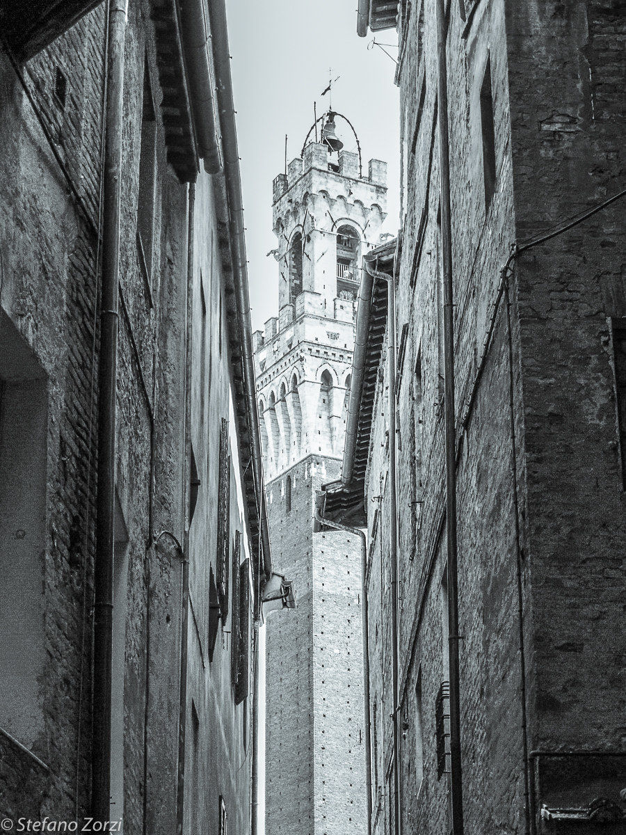 Foreshortening of Siena B / W...