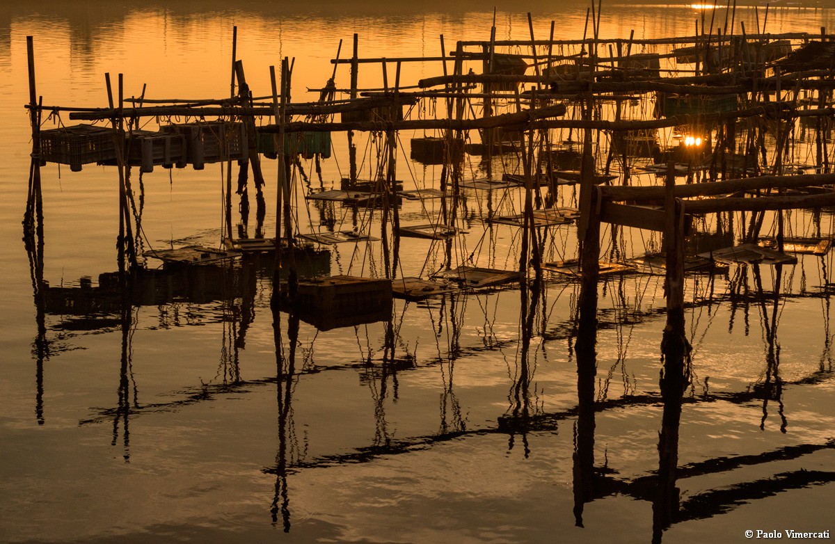 Chioggia...