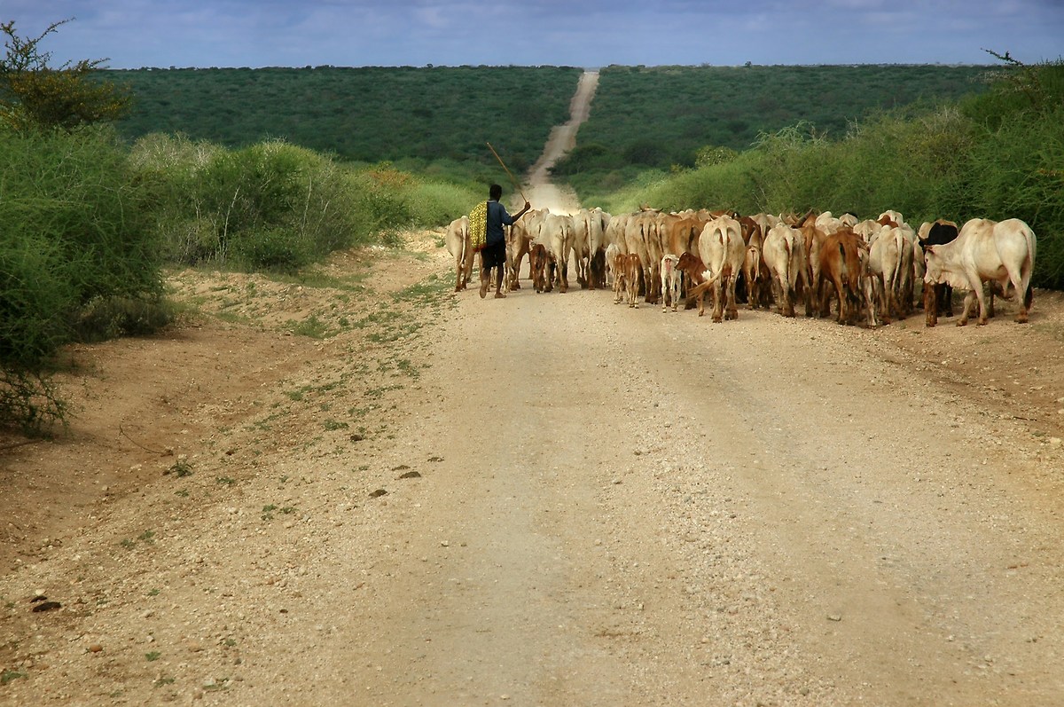 On the roads of Africa...