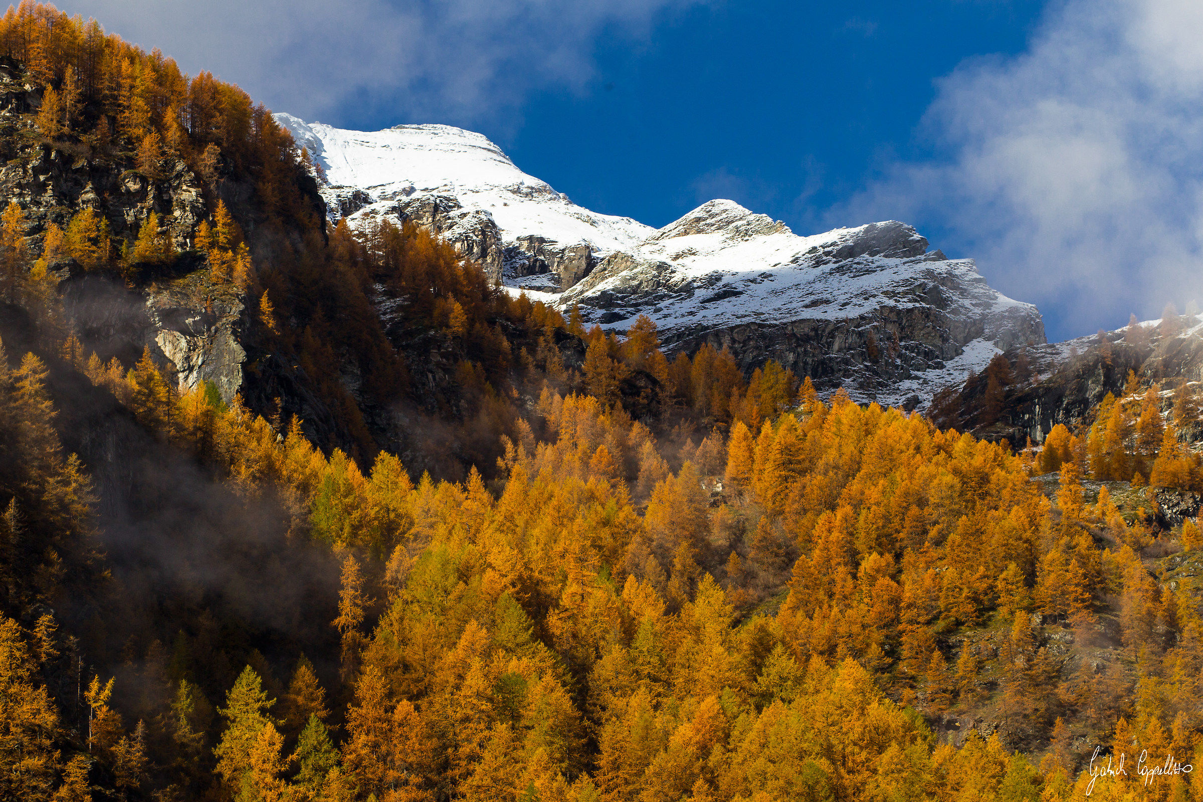 Autumn in the Alps...