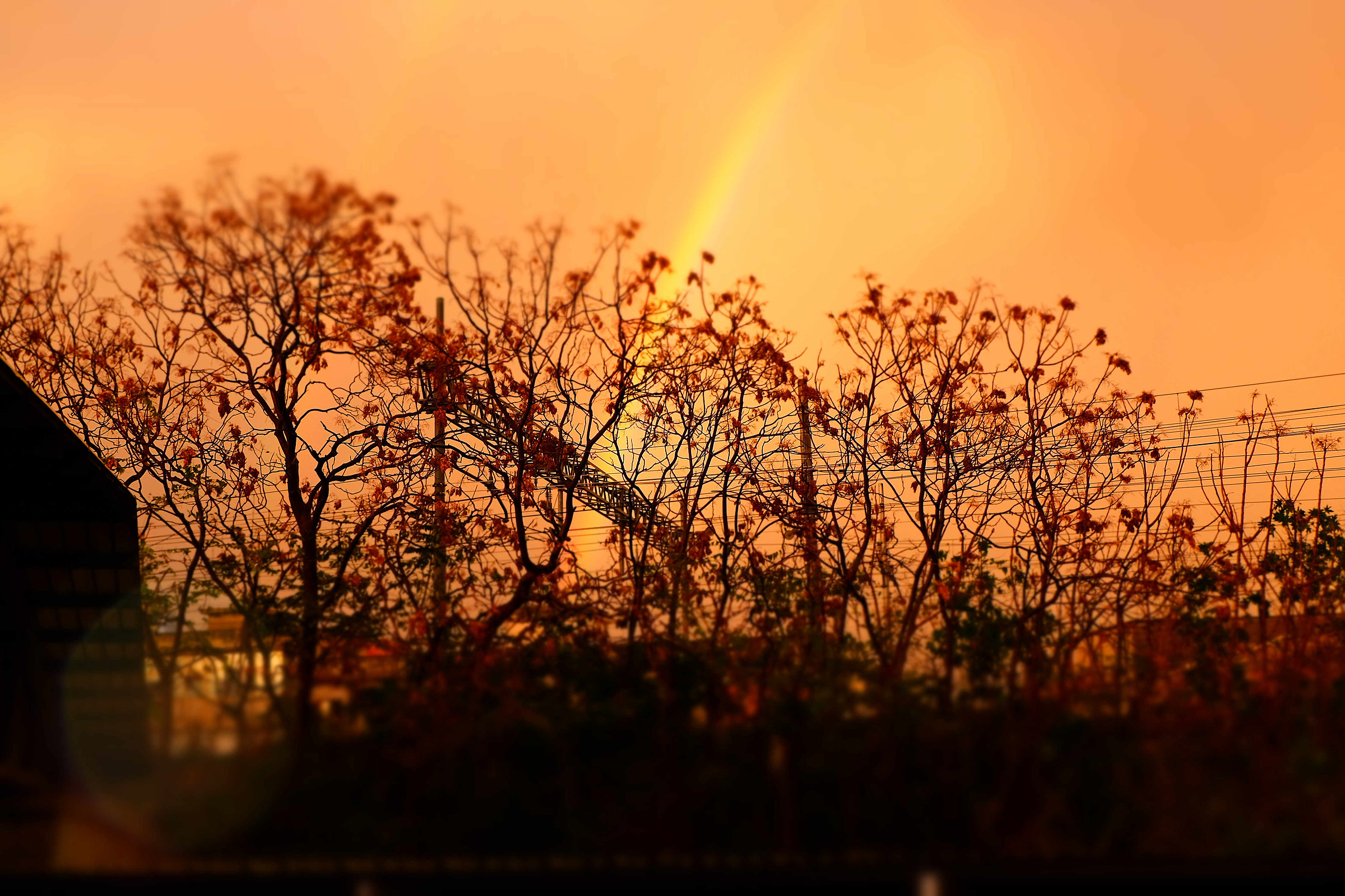 Arcobaleno...