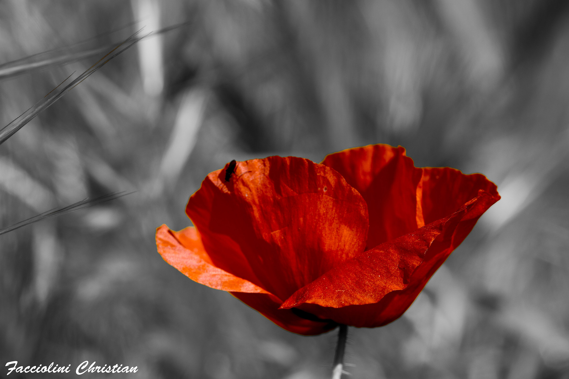 Untitled Photo...
