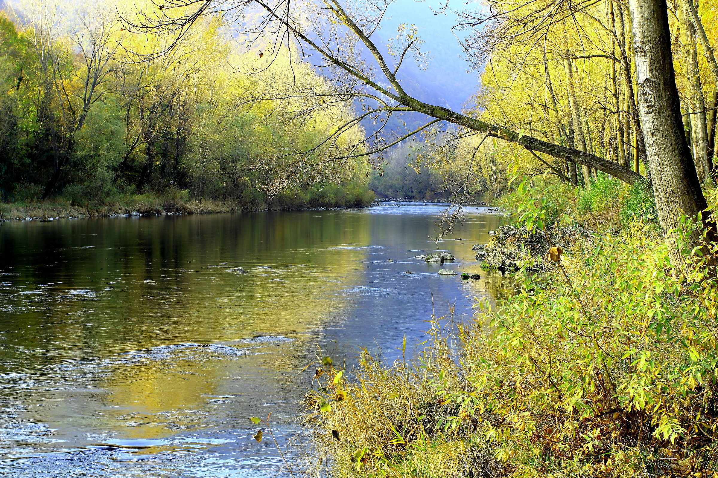 The Brenta north of Bassano...