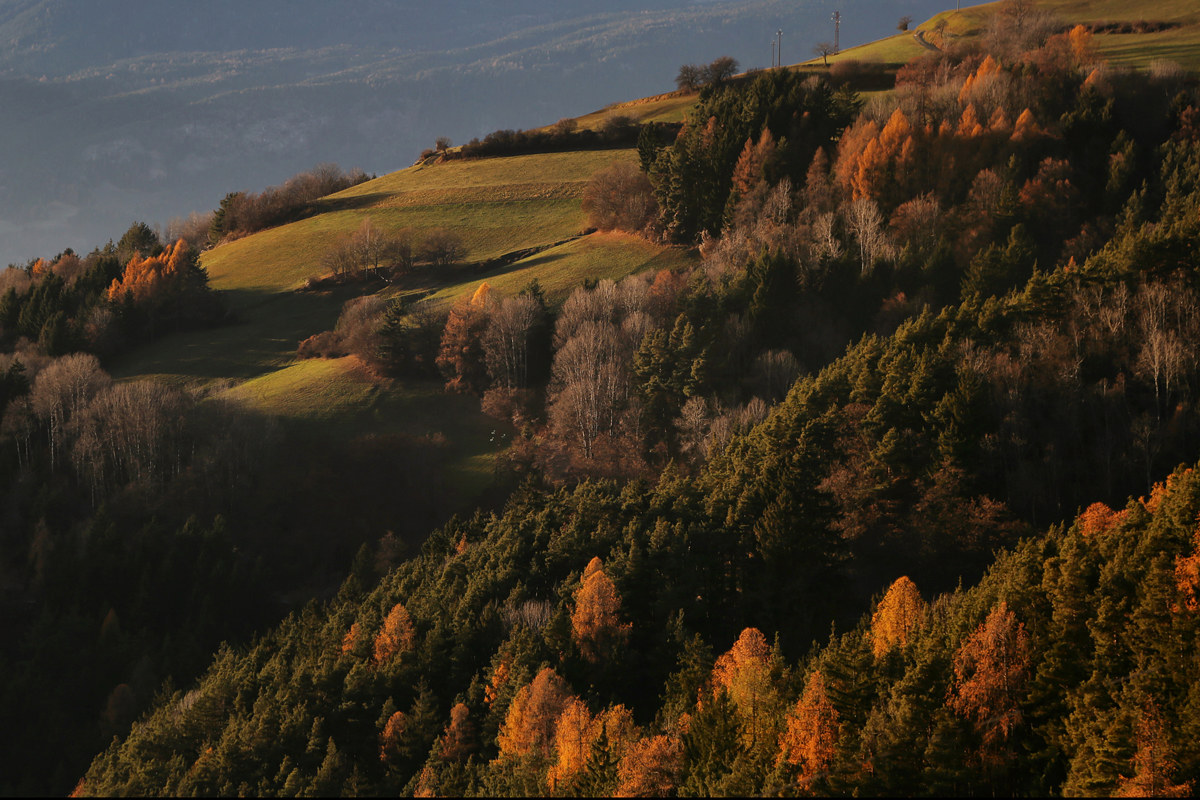 Angle autumn in Val Gardena...