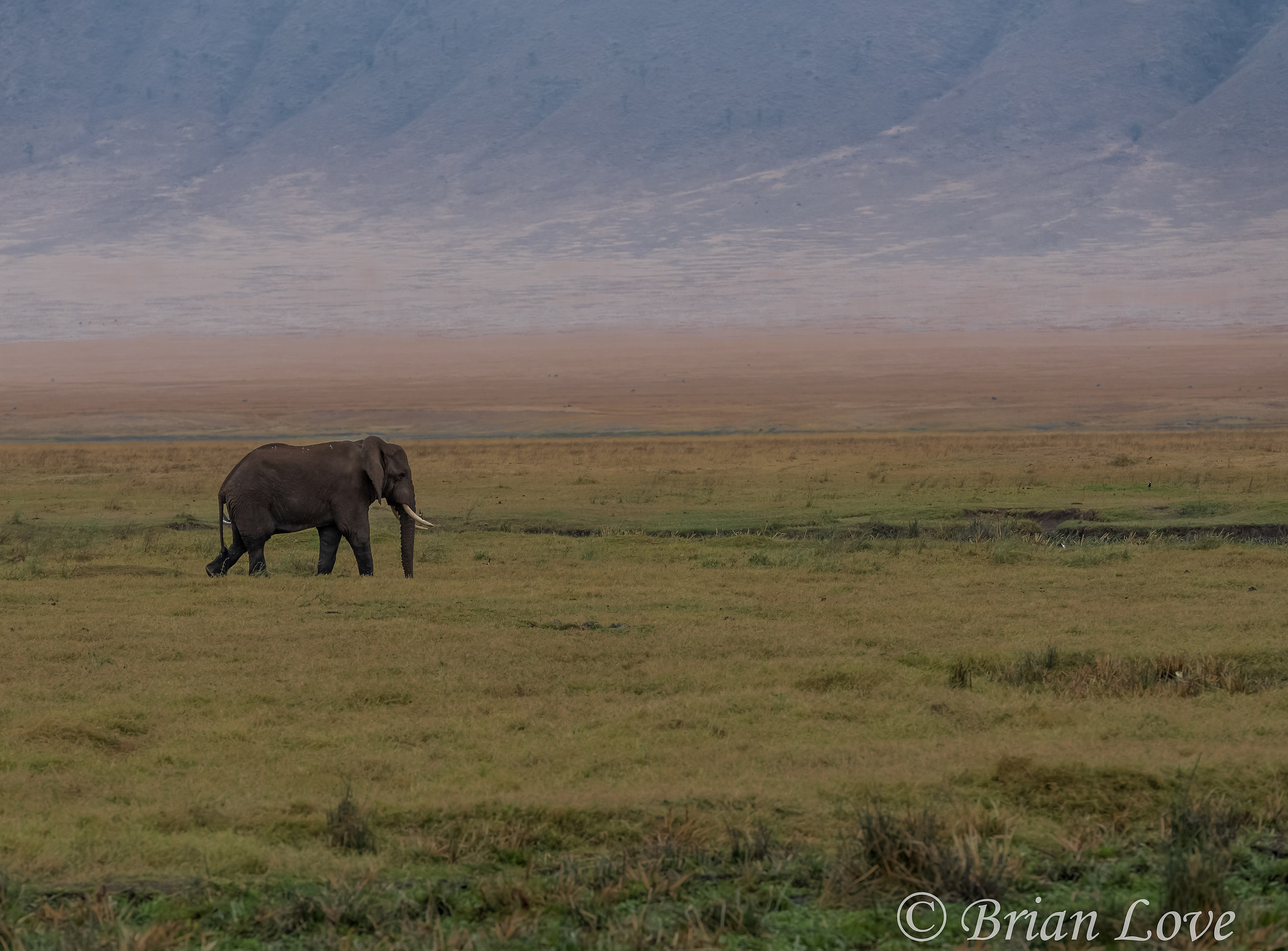 Classic Ngorongoro...