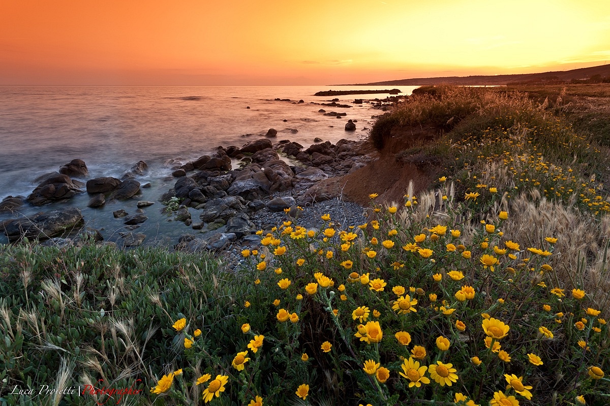 Sunset - Santa Severa (Grottini)...