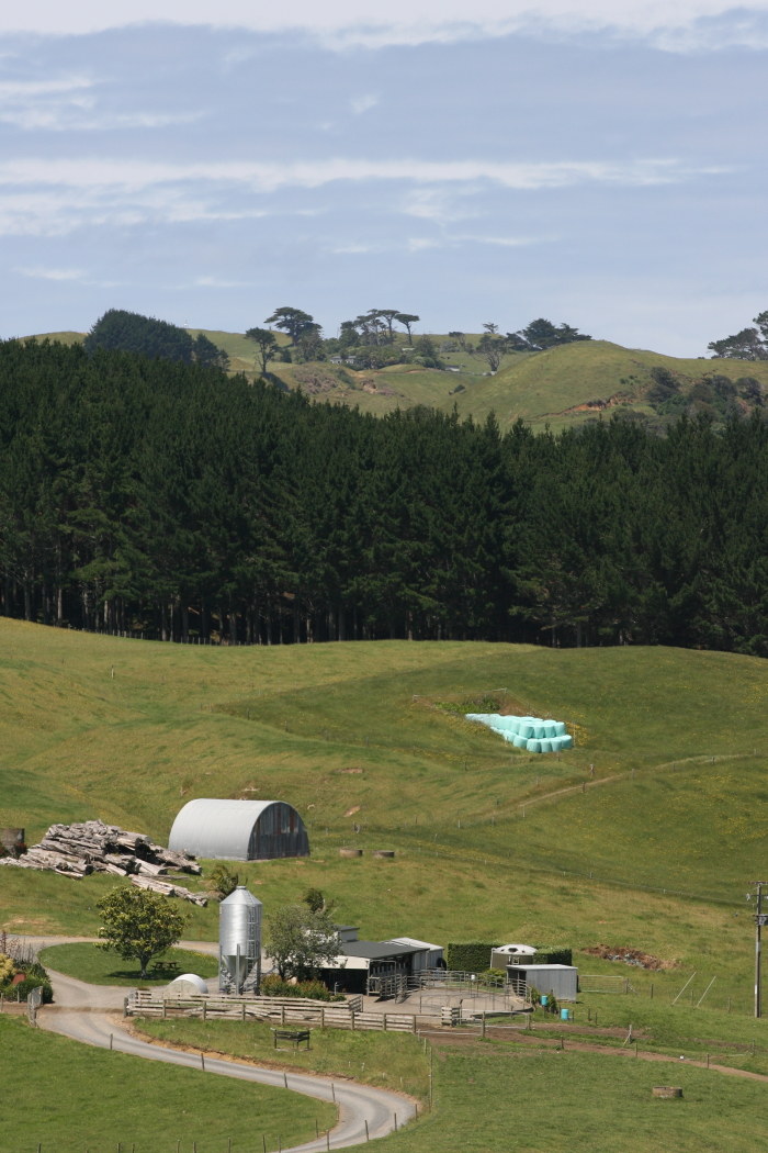 Nuova Zelanda Manukau Heads Lighthouse...