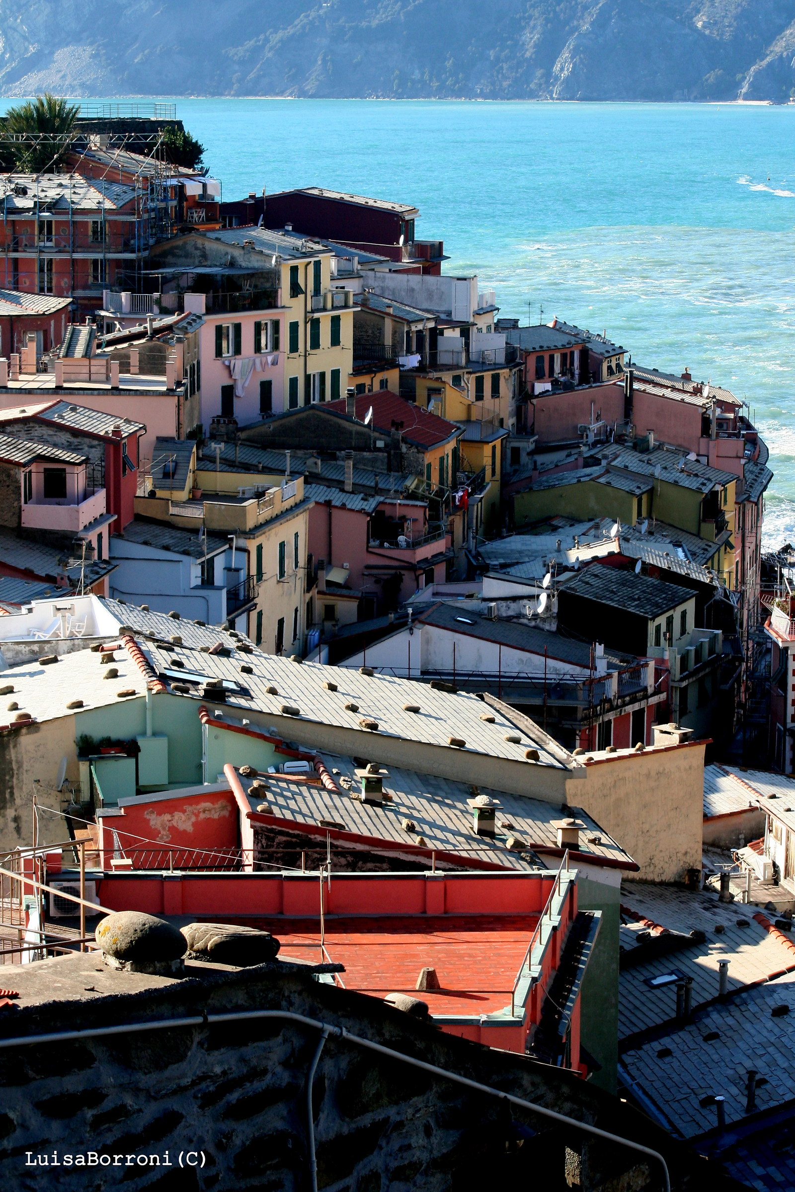 the roofs of Vernazza...
