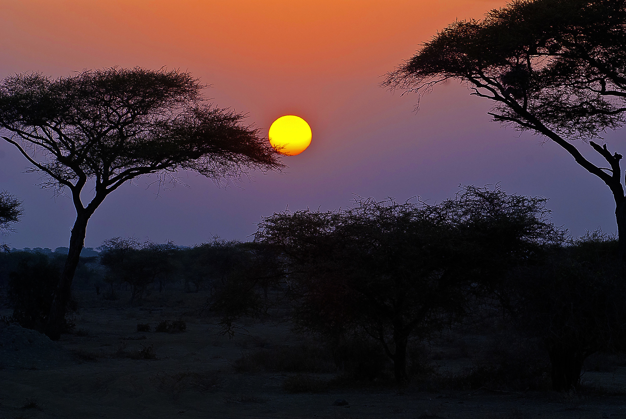 Sunrise in Synia Reserve -Tanzania...