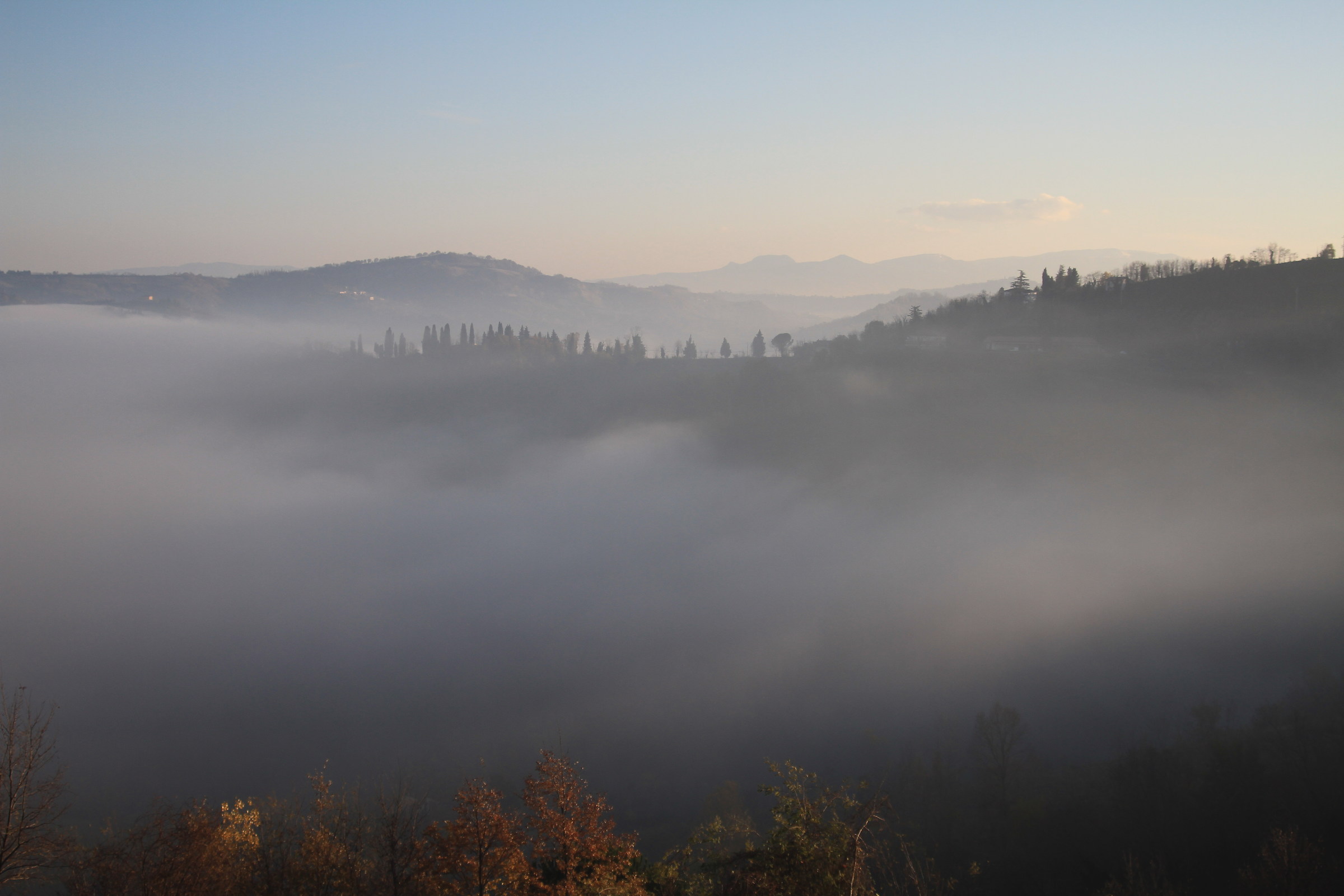 fog in the hills...